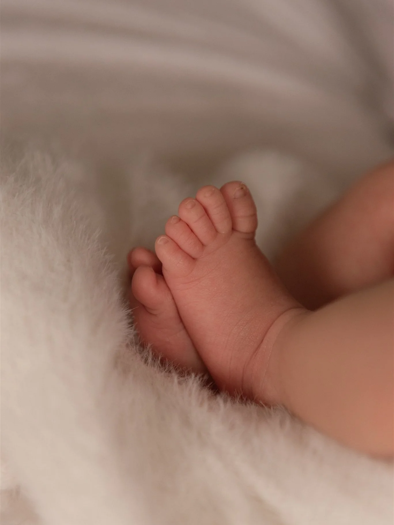 when two becomes three 🫶🏼🤍✨

#surreyfamilyphotographer 
#surreyphotographer 
#surreynewbornphotographer 
#surreylife 
#surreymums