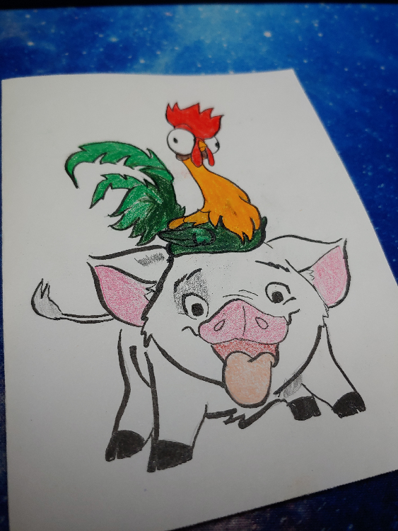 A colourful drawing of Moana's Pua with Hei Hei atop his head.