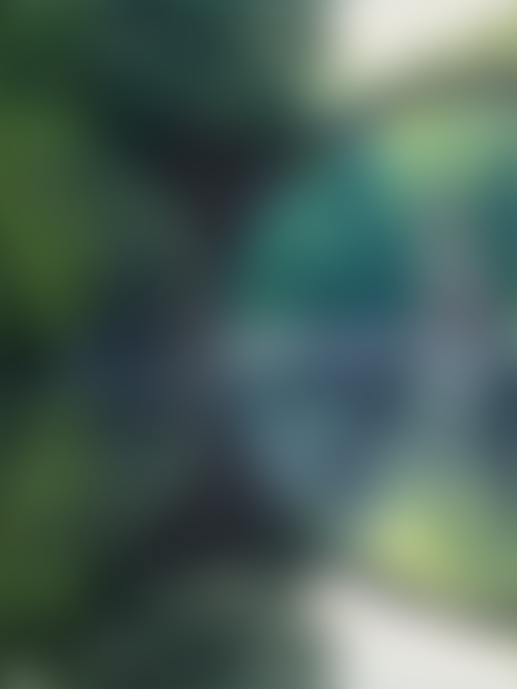 A blurred book cover with green, brown, white colours.