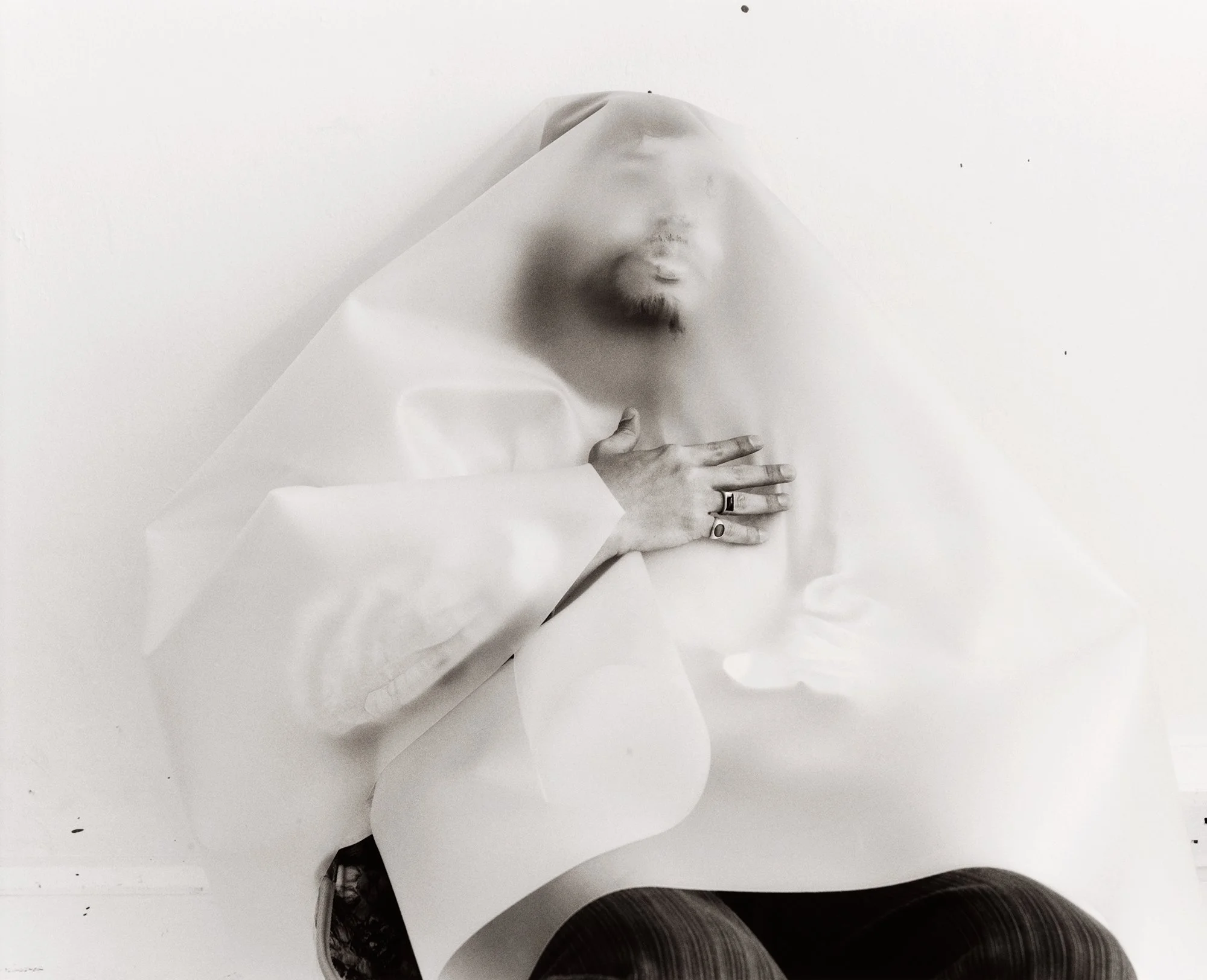 S.W_GILDED.LILIES_04.25_75 copy 3_sRGB.jpg