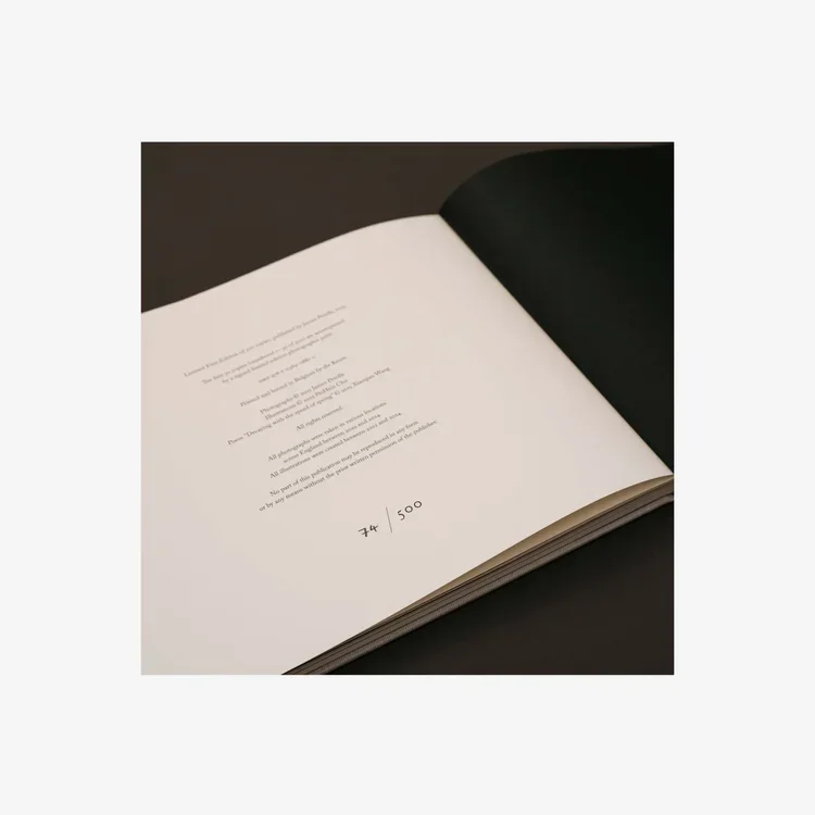 DECAYING.WITH.THE.SPEED.OF.SPRING_JAMES.PEROLLS_04 (1).webp