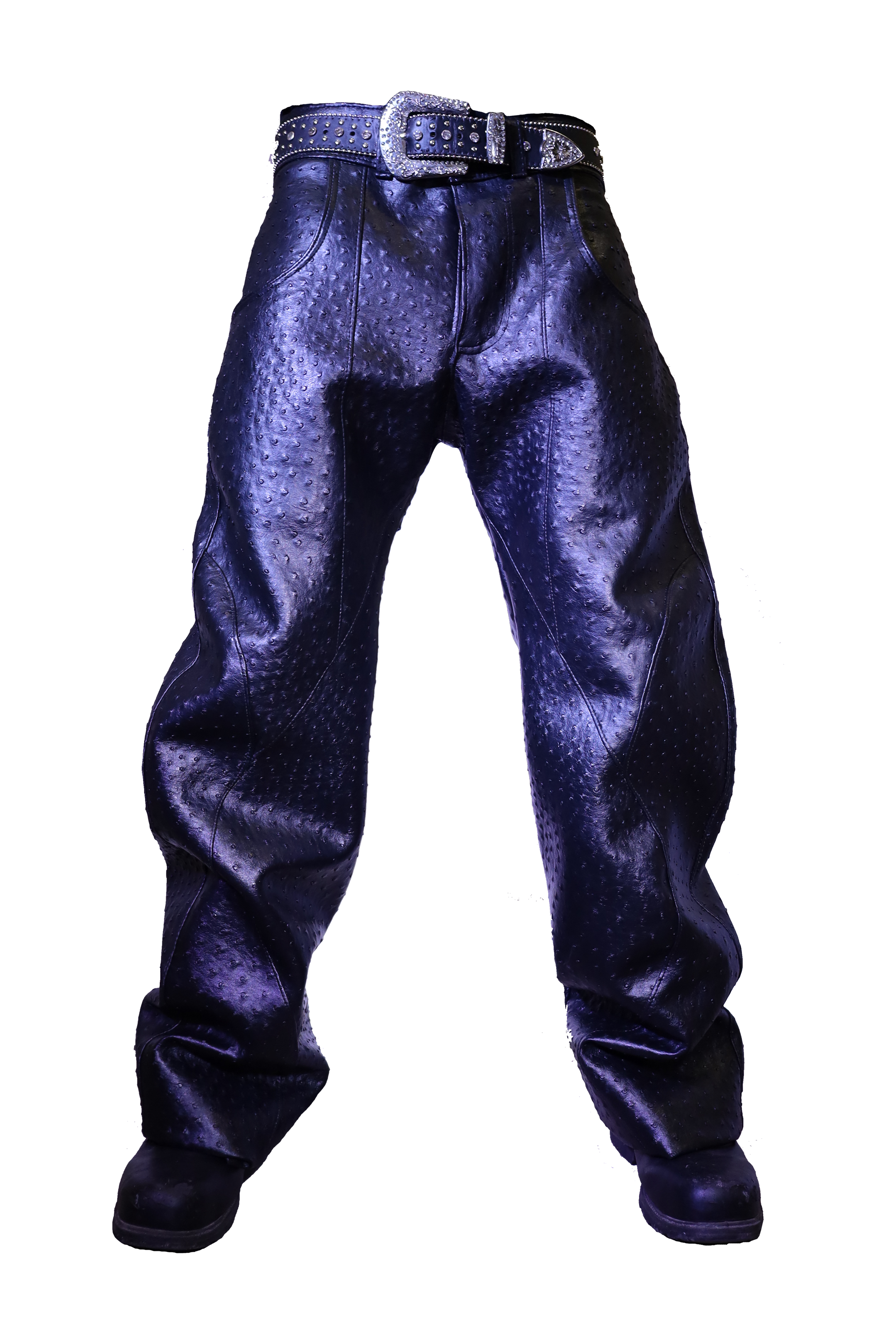 THE DARKEST NIGHT DRAGON SKIN PANTS