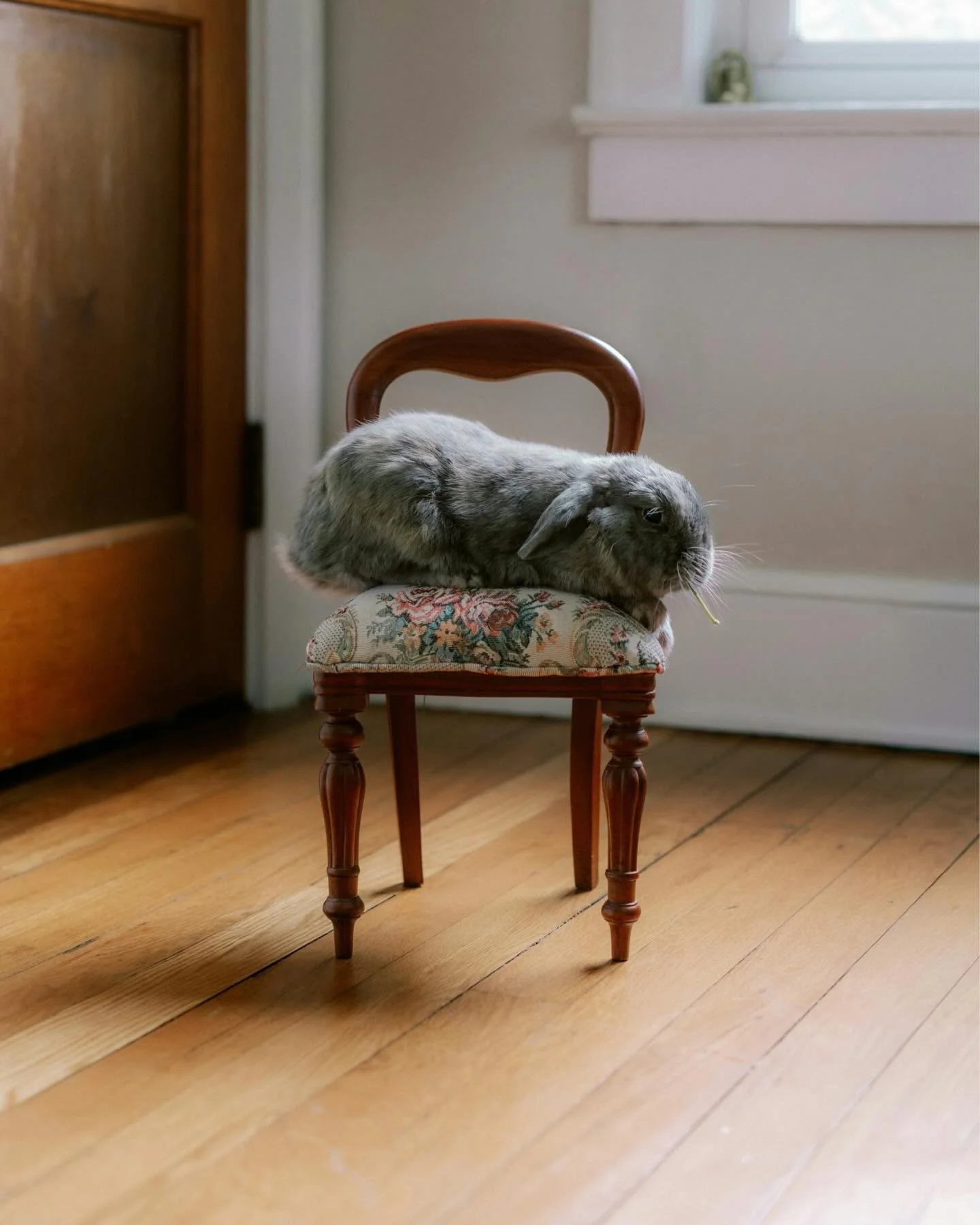 Healthy boundaries aren&rsquo;t just spoken &mdash; they&rsquo;re felt.
Your body often senses them before your words catch up.

Boundaries in the body can feel like:
&bull; Warmth in the chest
&bull; More space to breathe
&bull; Shoulders softening
