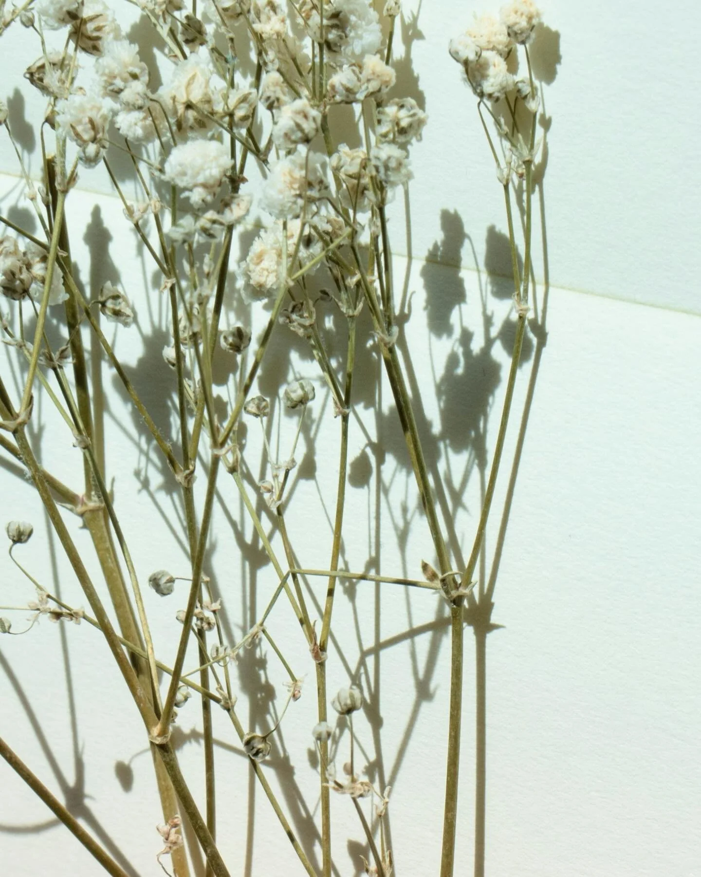 When your inner critic shows up, it&rsquo;s rarely trying to harm you.

More often, it&rsquo;s protecting you from something it once learned to fear: rejection, shame, disappointment.

It&rsquo;s the voice that says,
&ldquo;Be careful.&rdquo;
&ldquo;