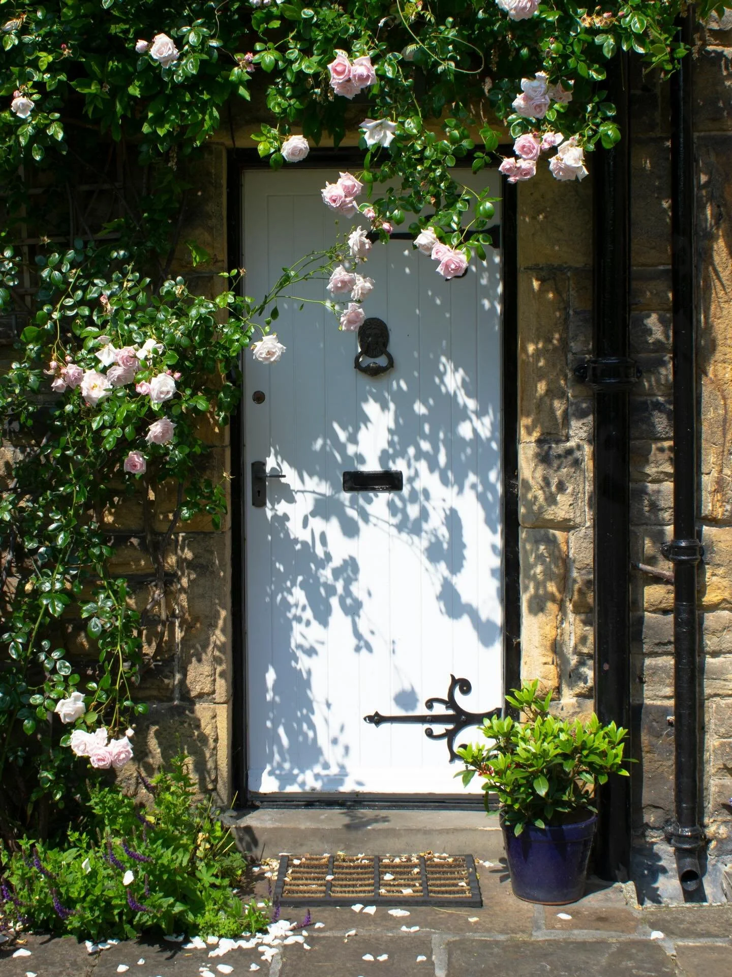 Moving Onto the Front Lawn: Coming Home to Ourselves

Inside each of us is a kind of home &mdash; a place where we can rest, feel, and simply be.

But often, we get pulled outside. We notice what others are doing, how they&rsquo;re being noticed, how