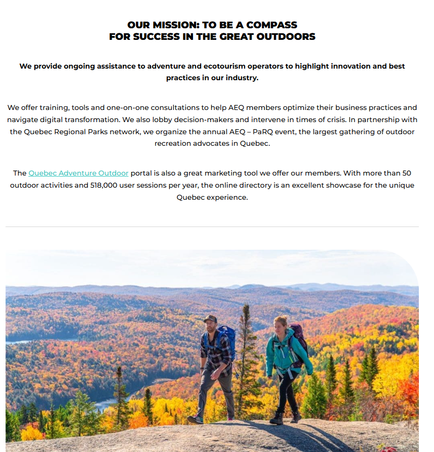 Web Copy, Creative Translation