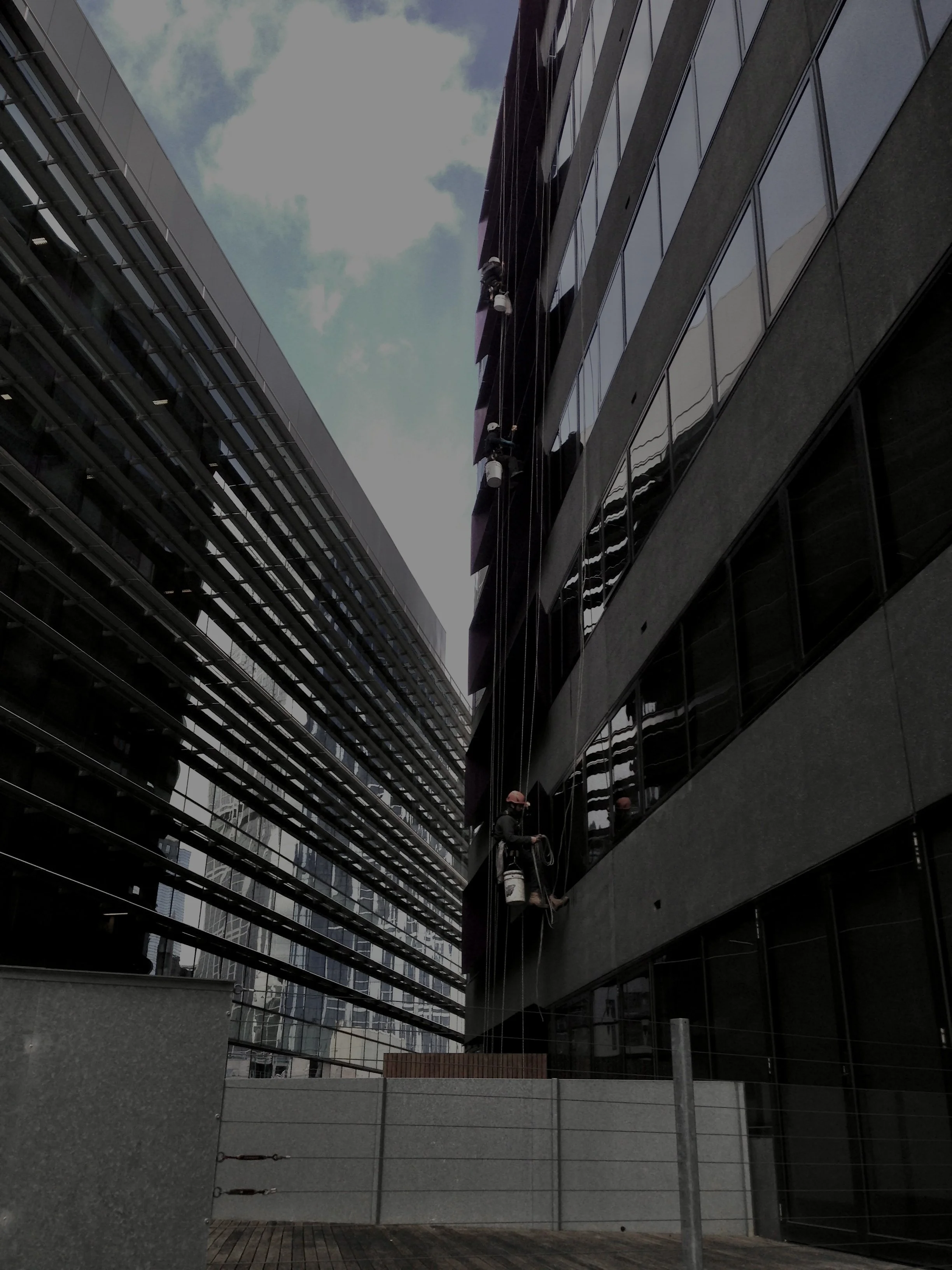 Rope access technicians conducting maintenance to the exterior windows of a tall modern building with ropes, using safety harnesses and ropes. 