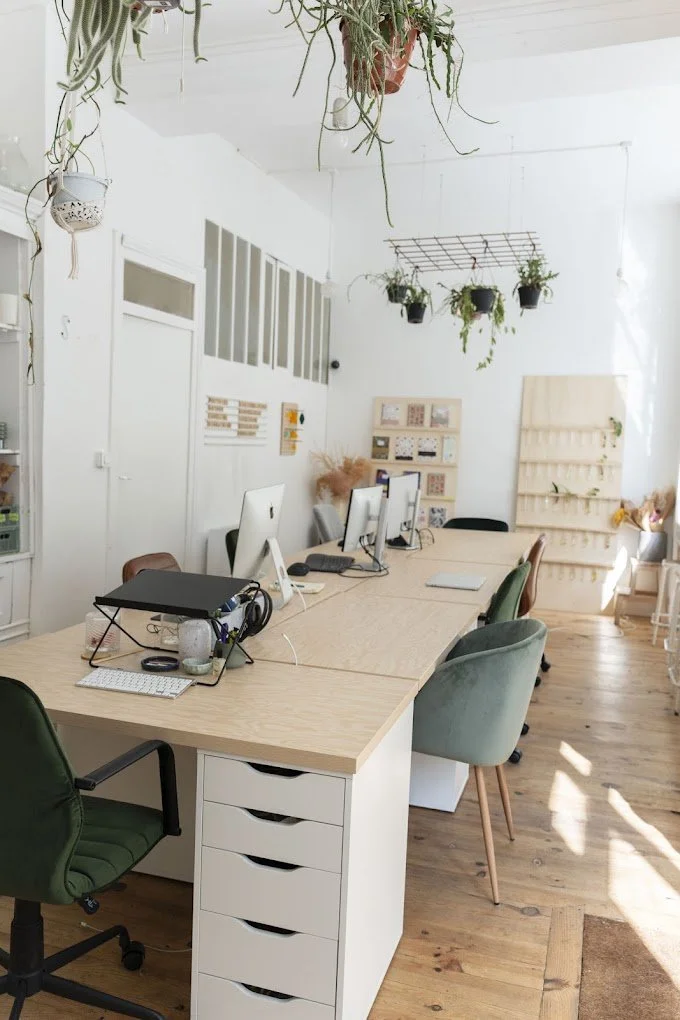 Bureaux avec ordinateurs, chaises, plantes suspendues, et décoration minimaliste dans une salle lumineuse.