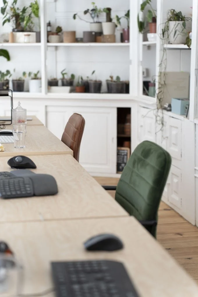 Salle de réunion avec une longue table en bois, plusieurs chaises de différentes couleurs, et une étagère contenant de nombreuses plantes en pots blancs et marrons.
