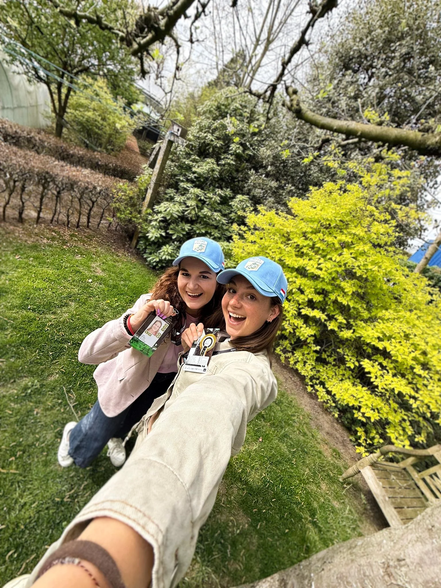 Latte to Go: The Dutch Masters