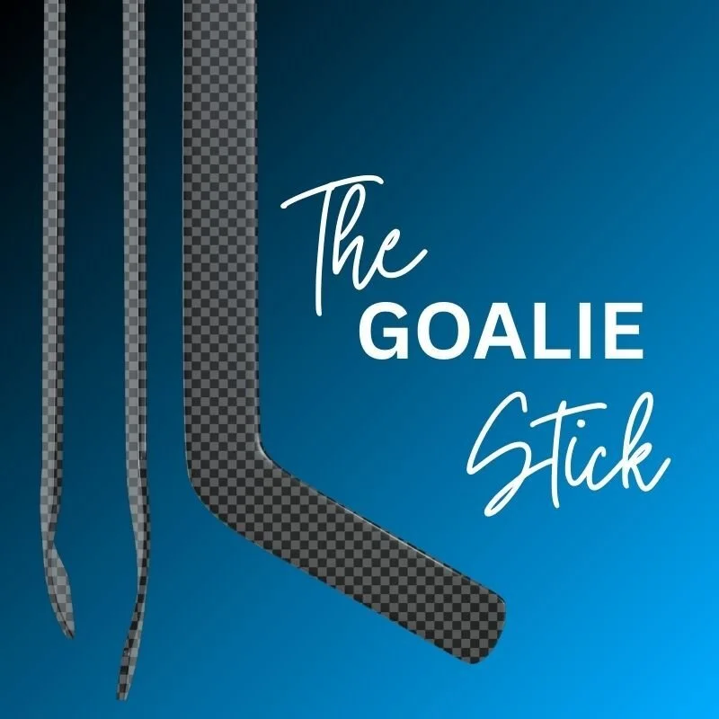 Goalie Stick