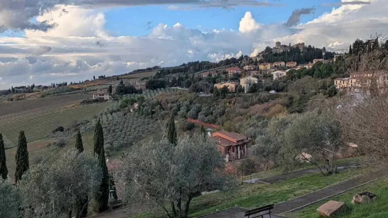 A scenic landscape of rolling hills with vineyards and olive trees, some houses, and a cloudy sky.