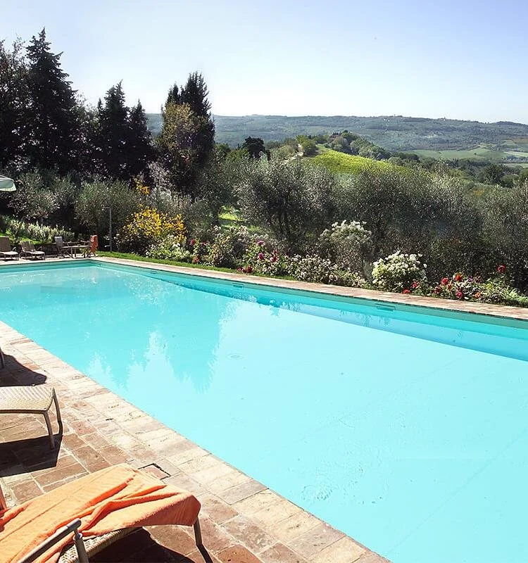 Swimming pool in a backyard with a view of green hills, trees, and flowering bushes under a clear blue sky.