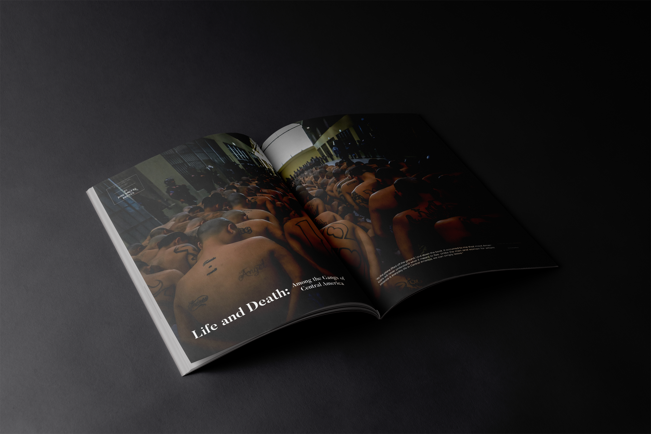 Spreads Mockup PG 11-12.png