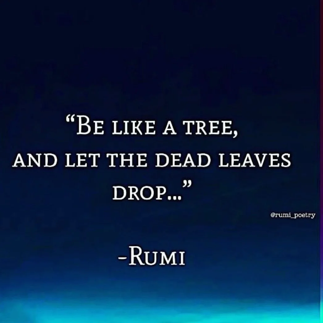 Fall, Loves!!! ☯️☮️✌️
#fallyall 
#realfriends 
#truelove 
#buddist 
#buddie or
#bitchbye