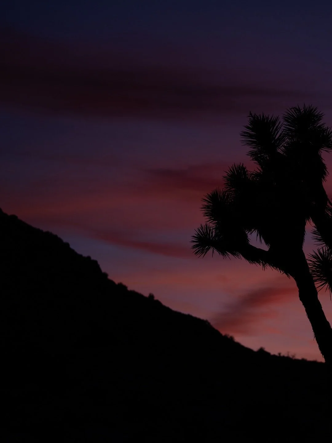 I could sit and grow old in front of views like this.
.
Molten lava skies.
.
The yap of distant coyotes.
.
Soft sounds of all the night creatures.
.
The scent of warmth from the sand beneath my bare feet.
.
Stuff of dreams.
.
Dreams I&rsquo;ll relive