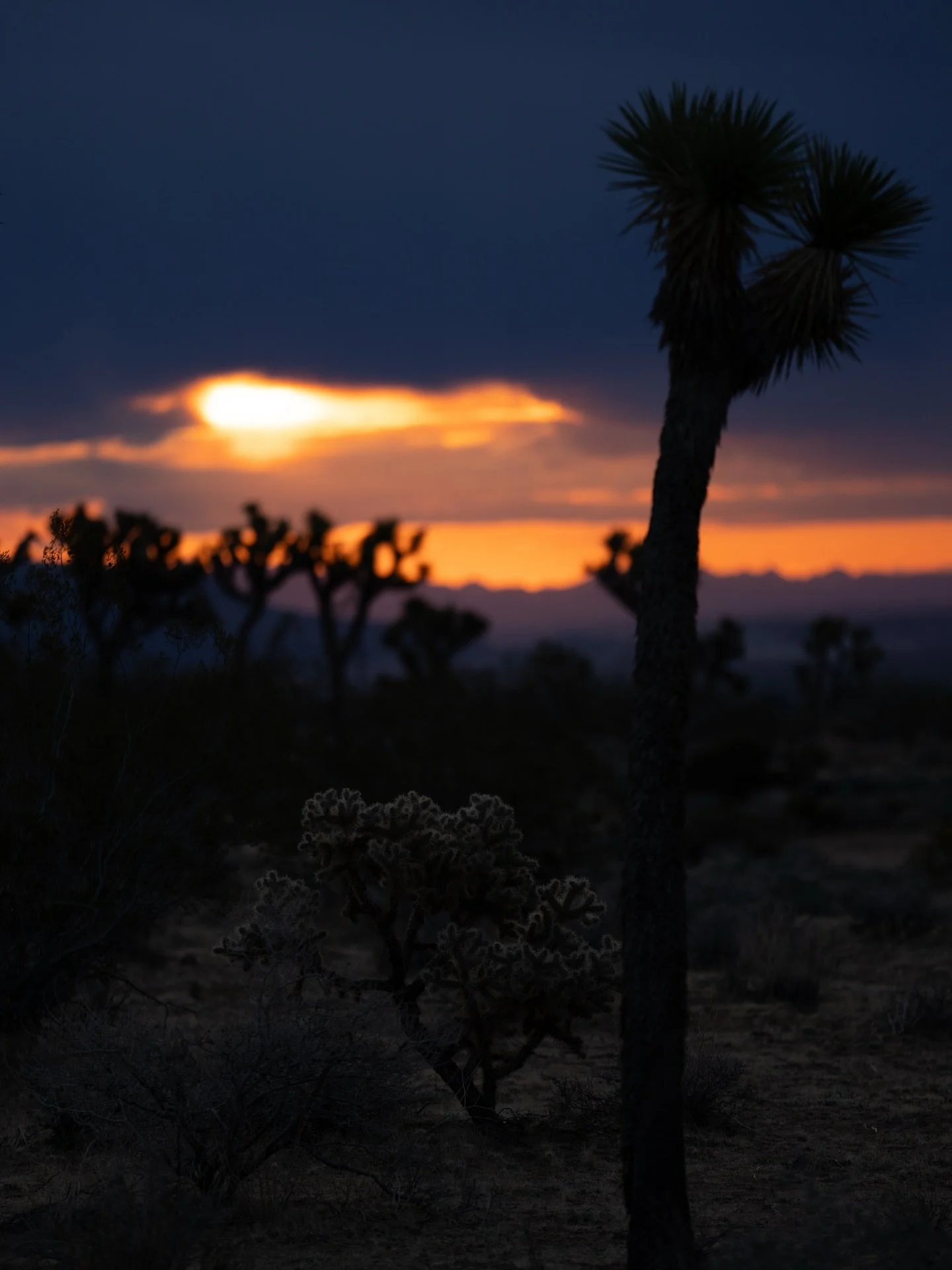 THE ONLY INTELLIGENT
TACTICAL RESPONSE
TO LIFE&rsquo;S HORROR IS TO LAUGH DEFIANTLY AT IT.
.
- SOREN KIERKEGAARD -
.
That includes people that try and tell you that the life you live or are building is wrong.
.
Here&rsquo;s the truth.
.
People are al