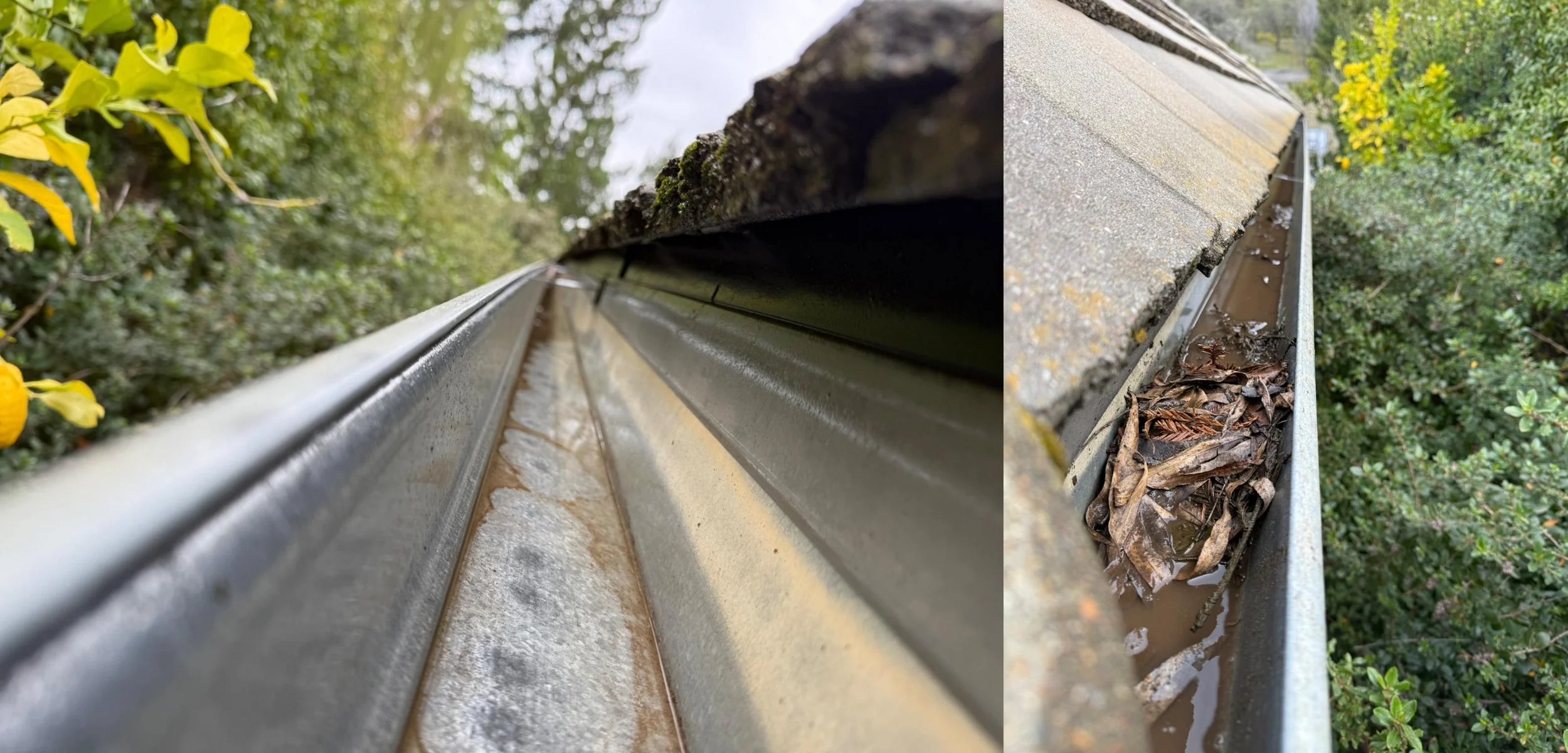 7 Signs Your Gutters Need Cleaning After Winter