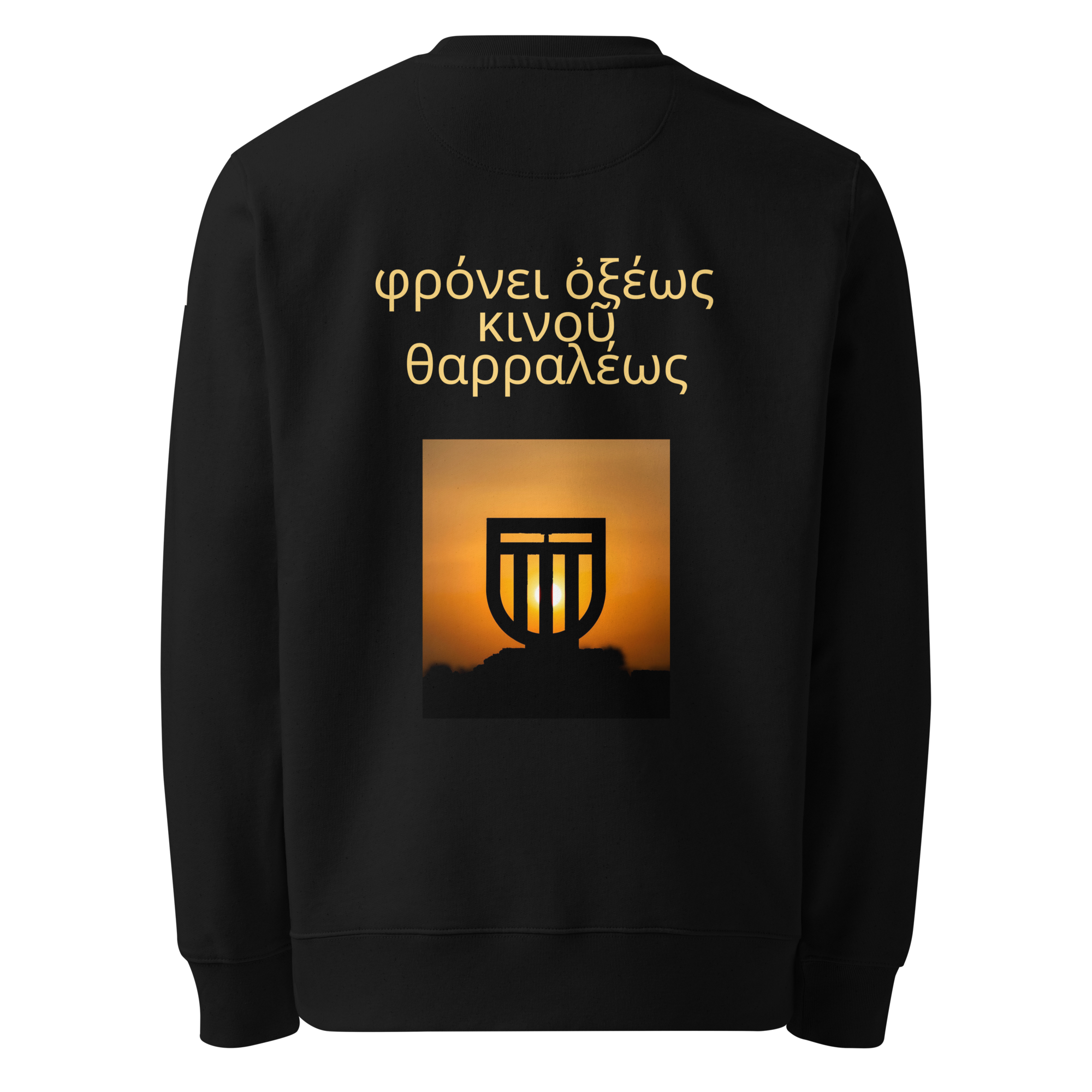 unisex-eco-sweatshirt-black-back-68f7c15453b6a.png