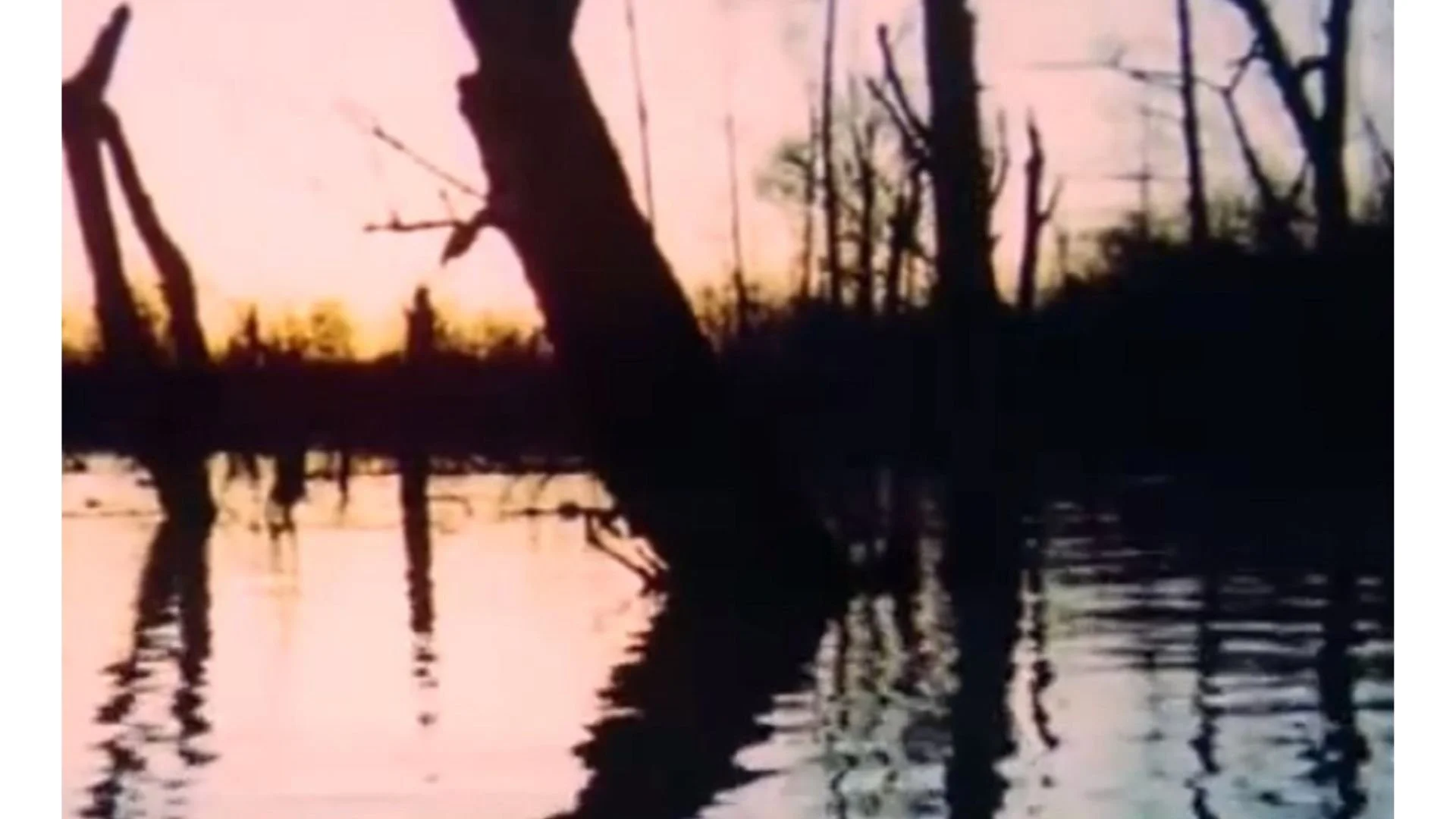Boggy Creek.jpg