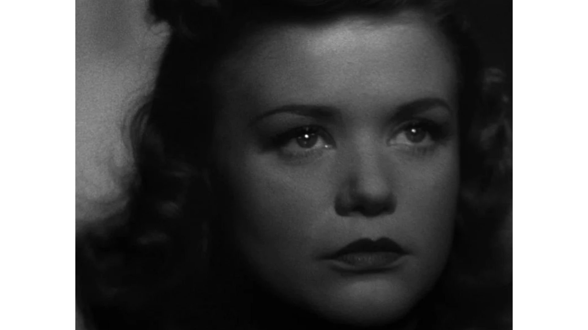 Cat People-6.jpg