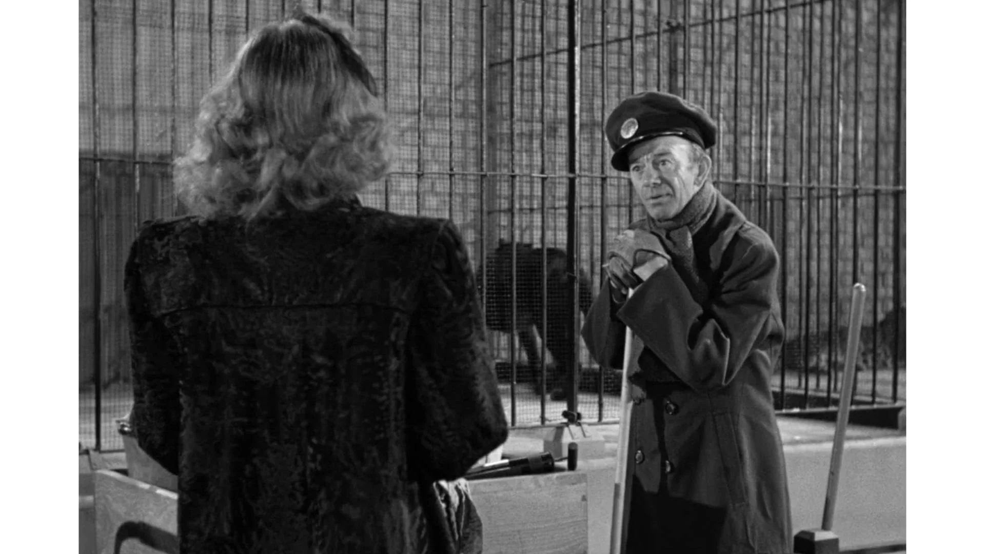 Cat People-9.jpg