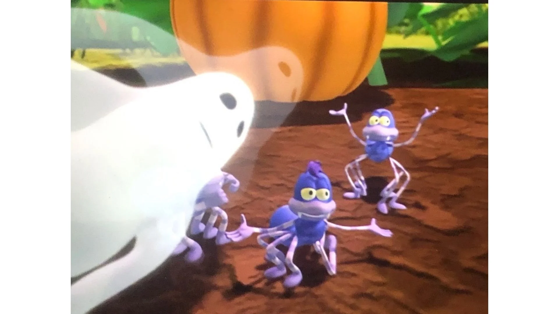 Spookley Stills-2.jpg