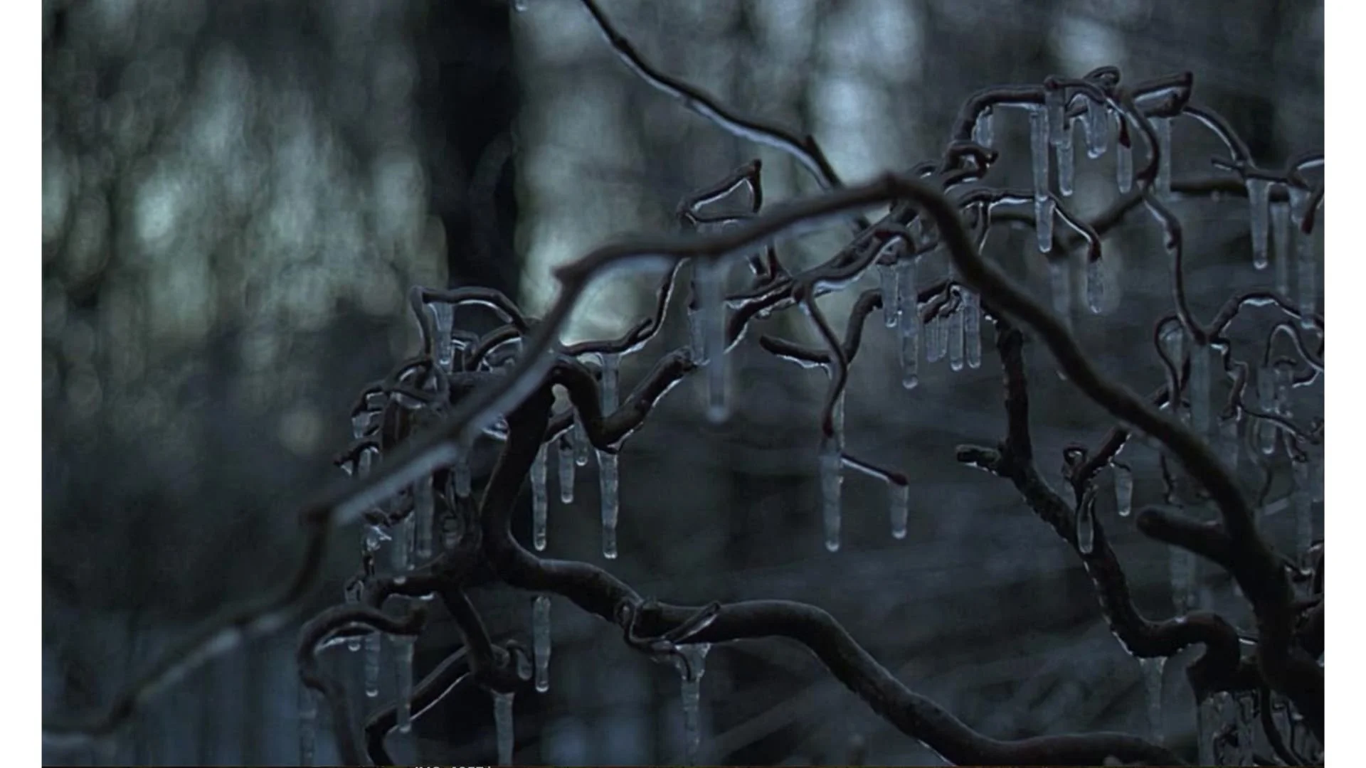 Ice Storm Stills-5.jpg