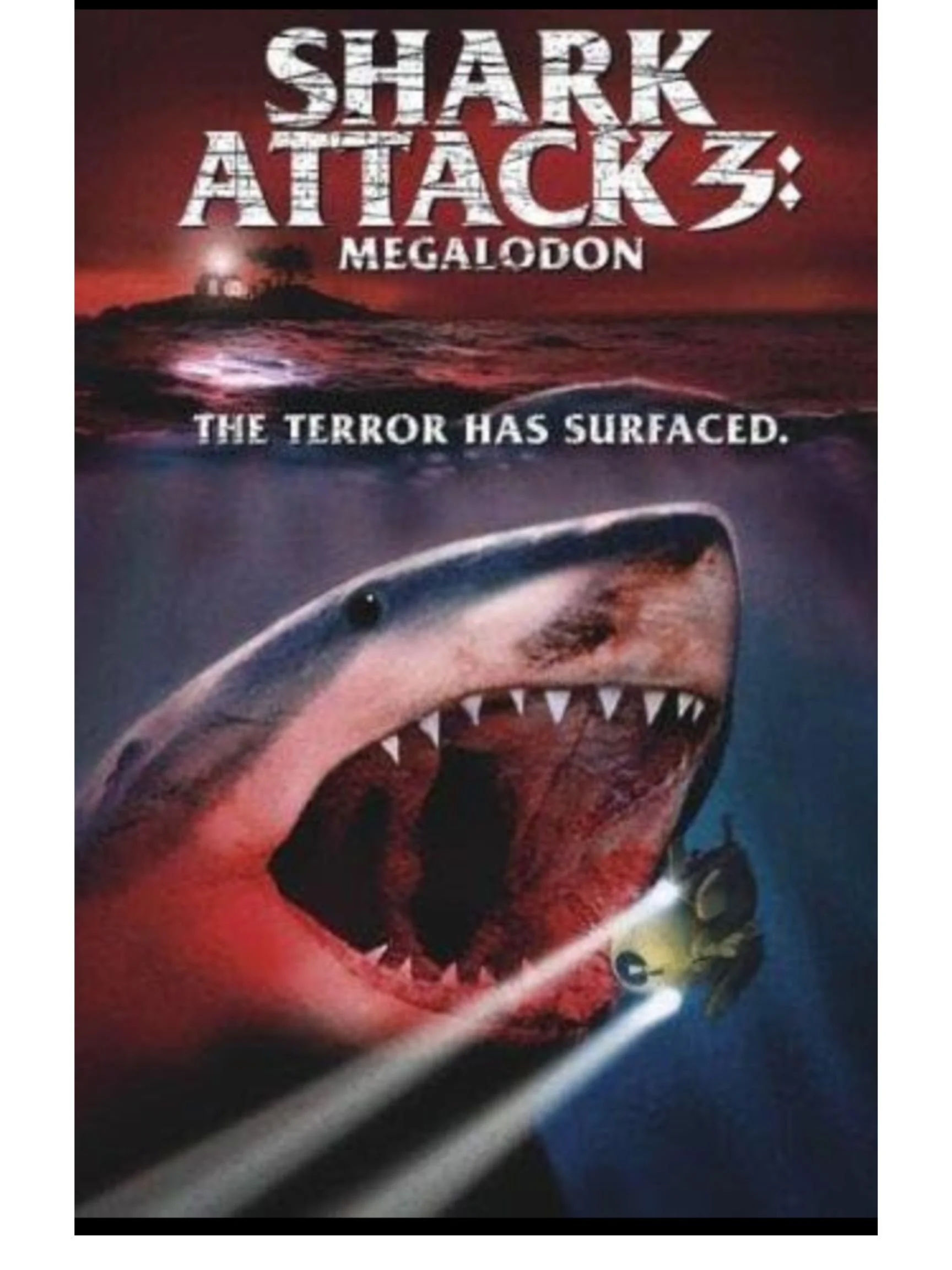 shark attack 3(3).jpg