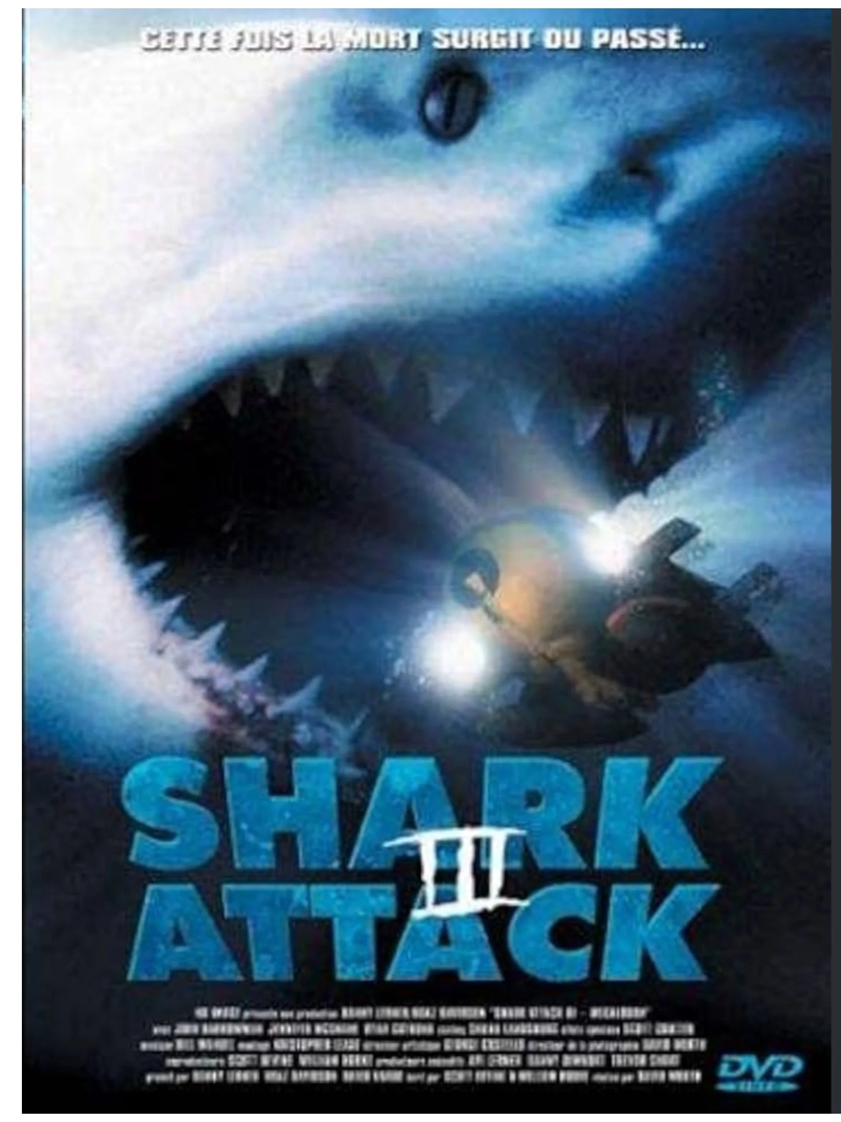 shark attack 3(4).jpg
