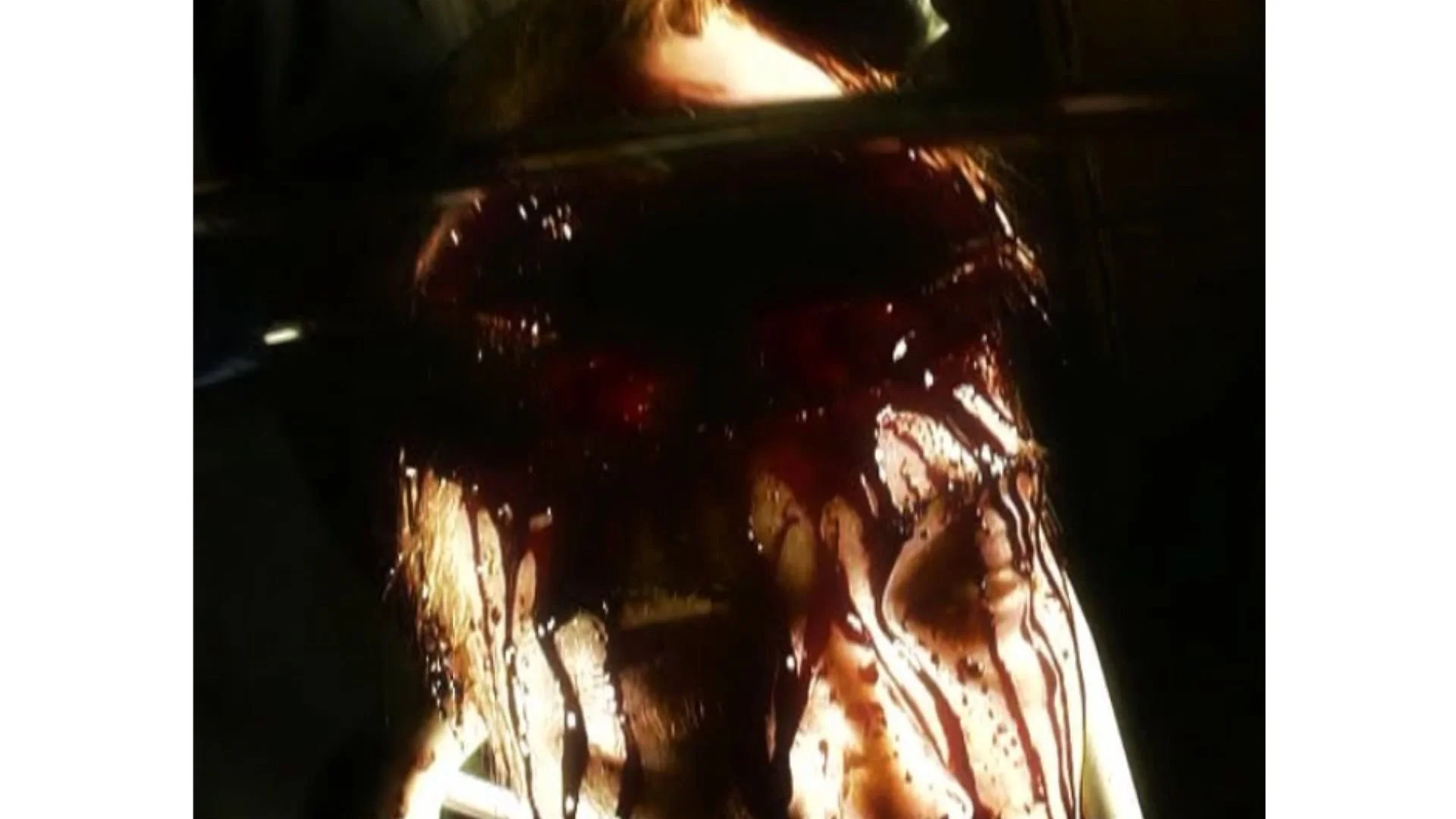 Slaughtered Vomit(6).jpg