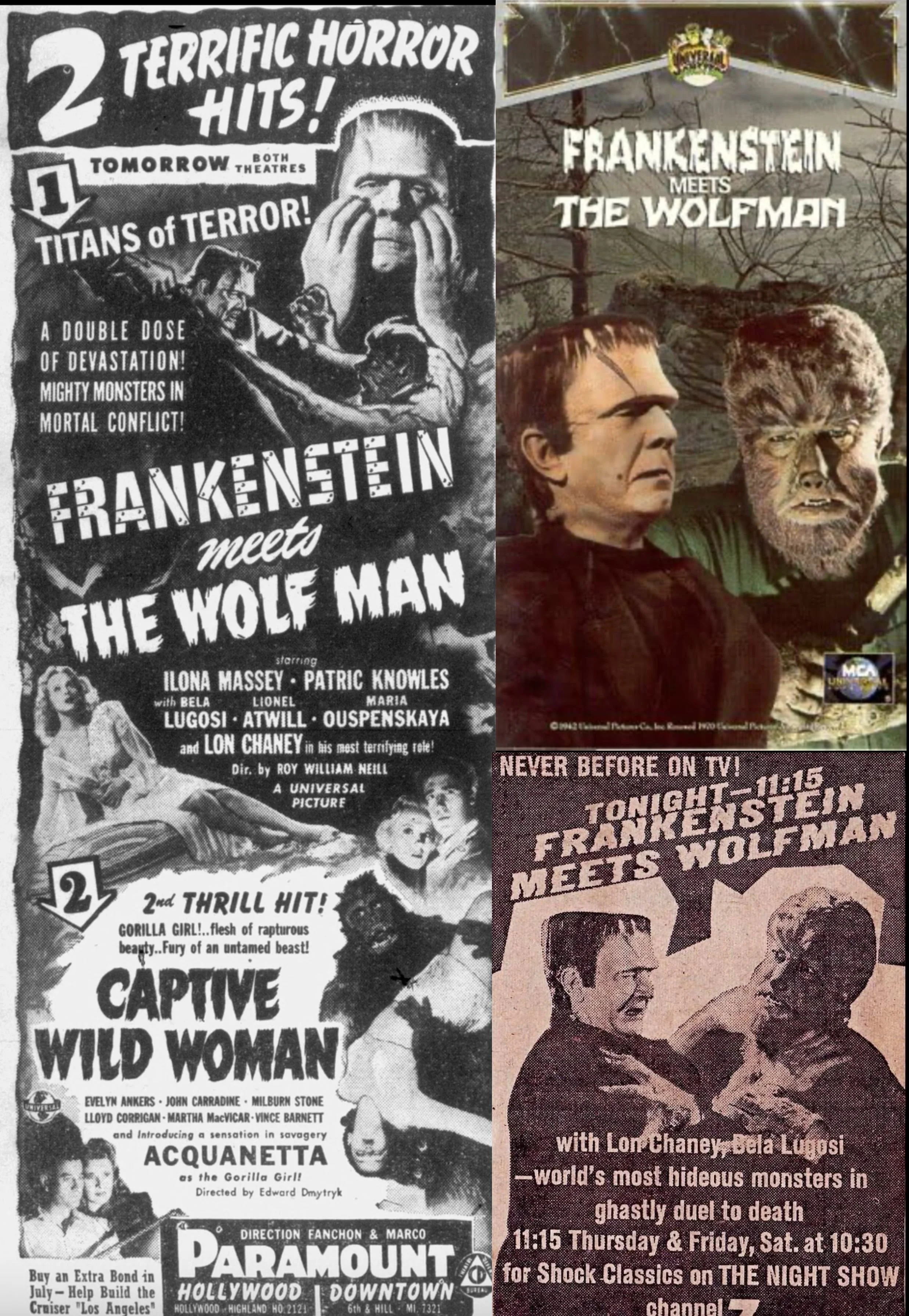 FvW Poster(4).jpg