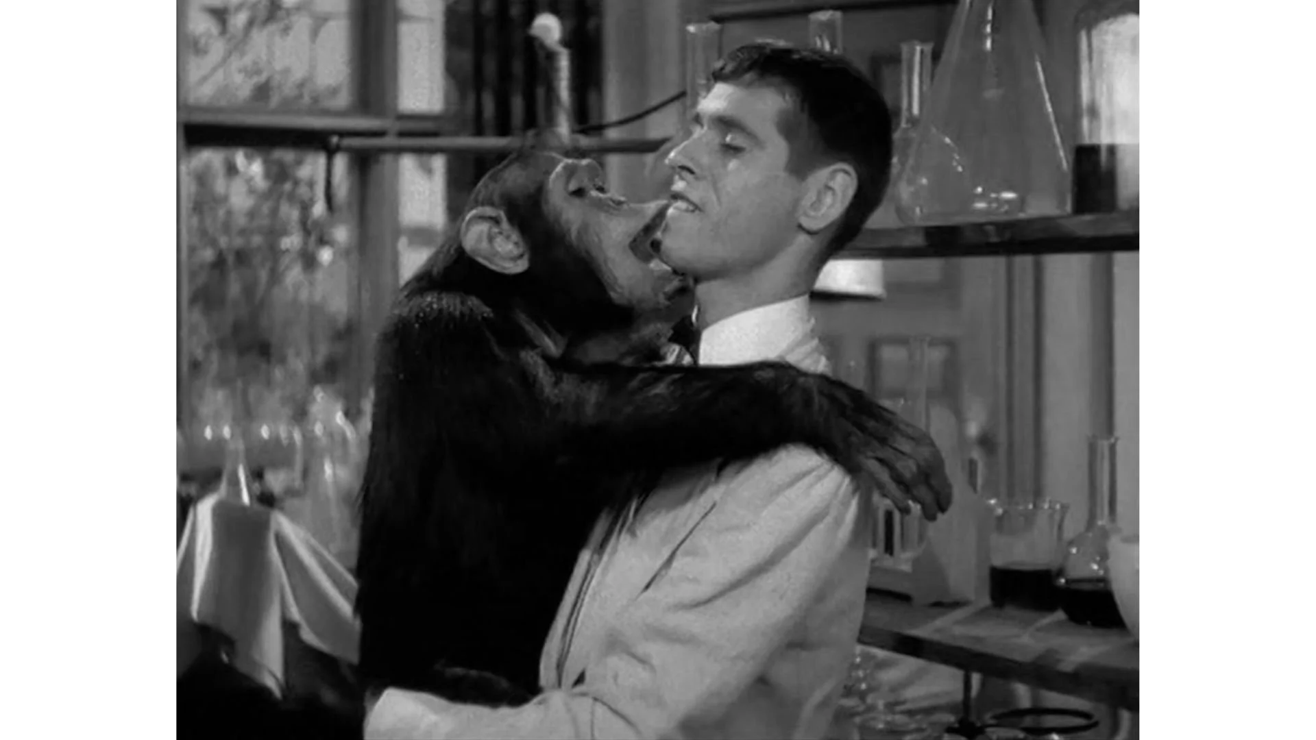 Bela Meets(2).jpg