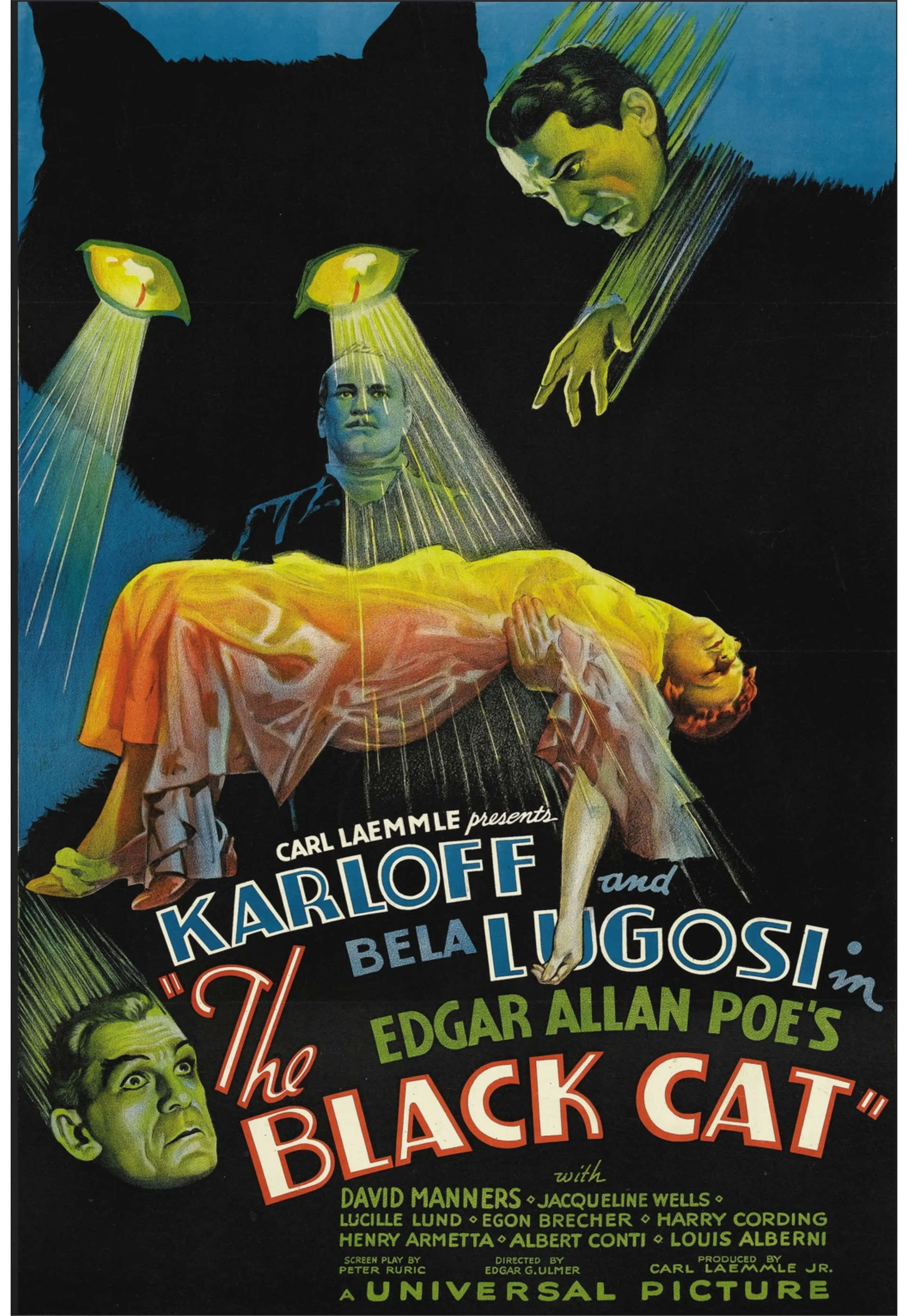 Black Cat Poster(1).jpg