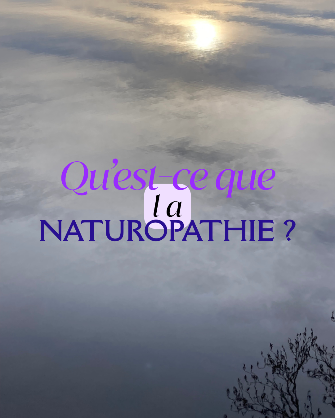 Qu’est-ce que la naturopathie ?