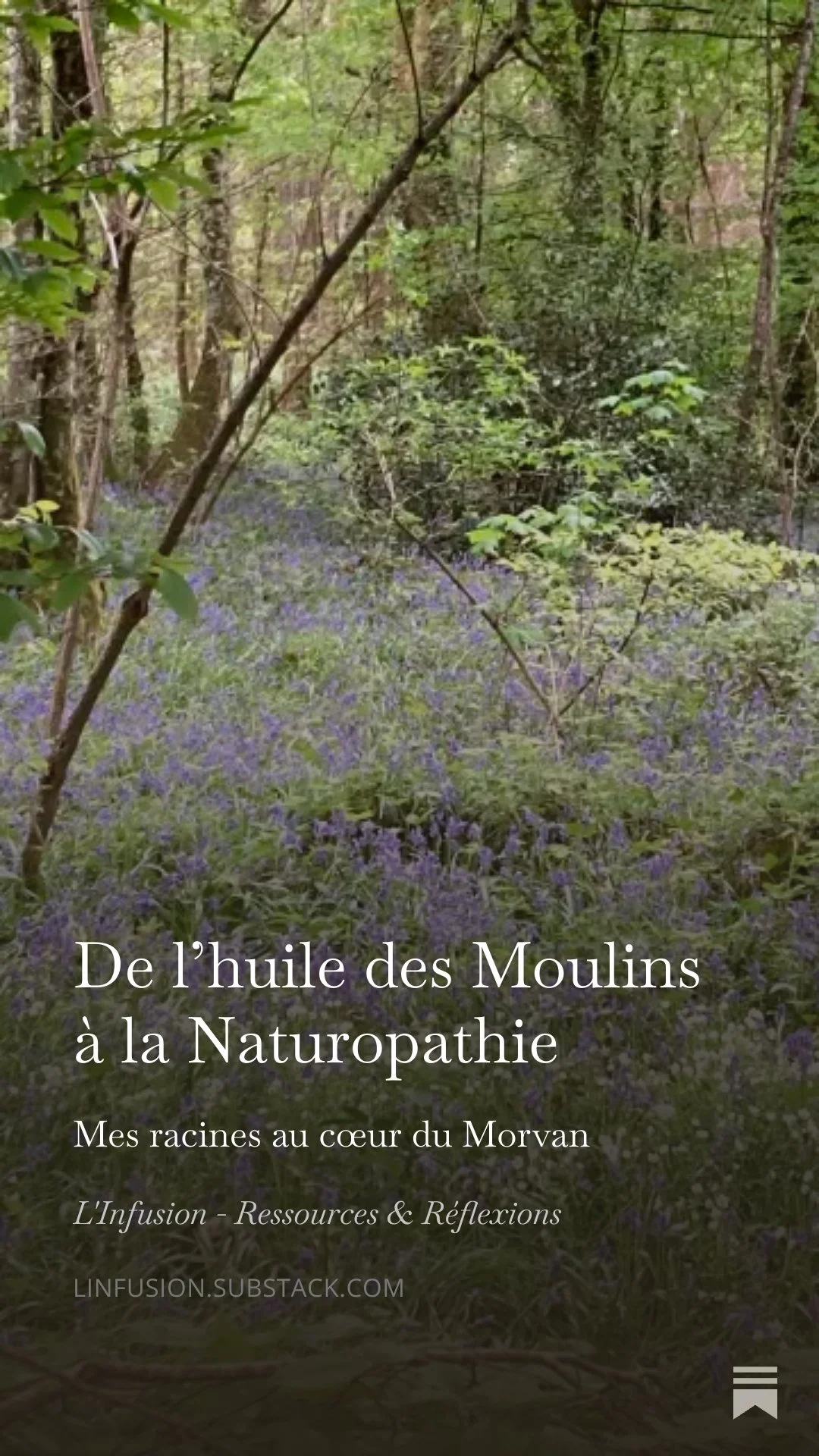 De l’huile des Moulins à la Naturopathie : Mes racines au cœur du Morvan