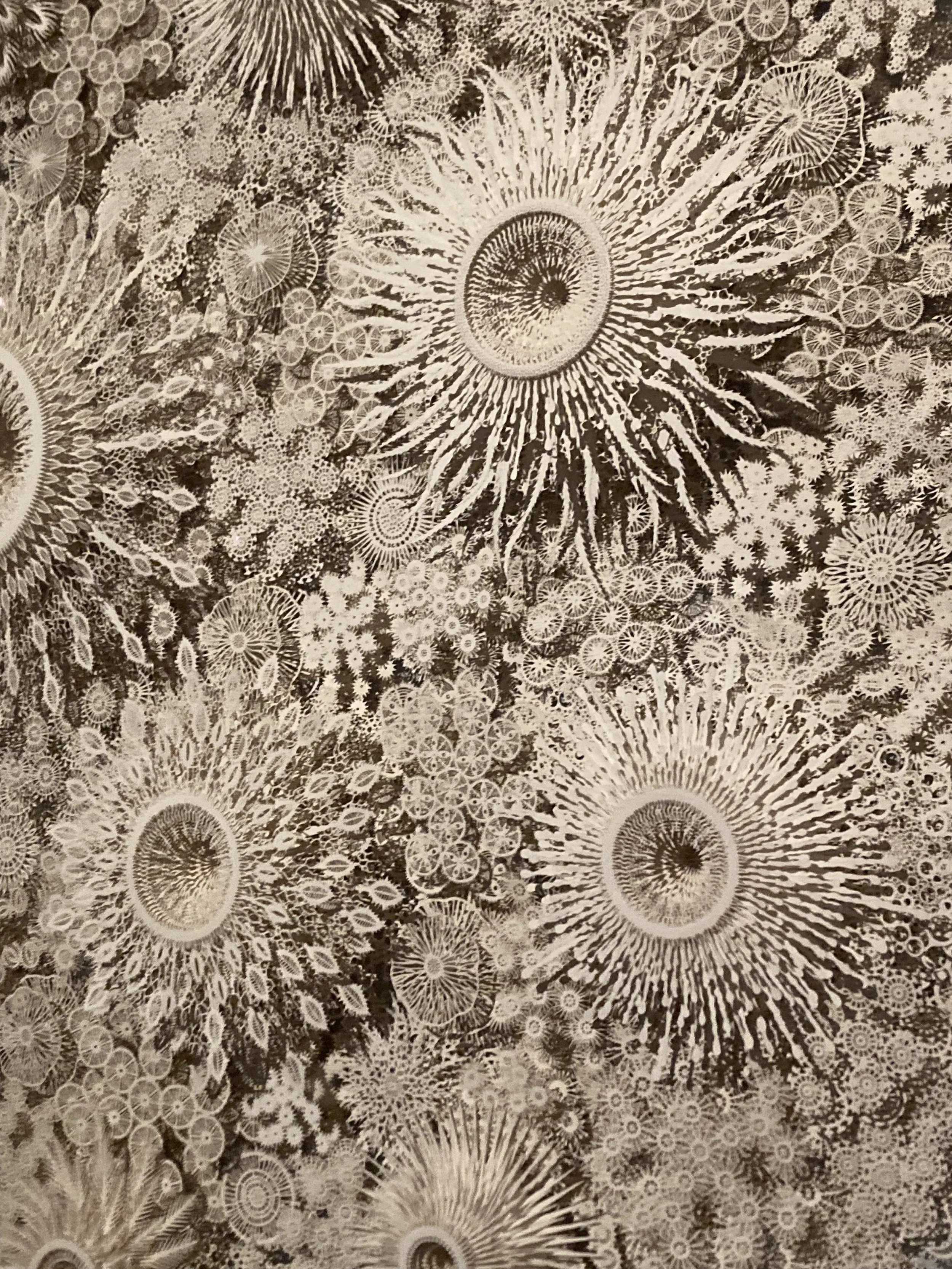 Accompagnement bien-être, naturopathie, gestion du stress, alimentation, sommeil, préménopause, périménopause, femme, théorie polyvagale, huiles essentielles, aromathérapie, olfactothérapie, santé naturelle, Morvan, Bourgogne