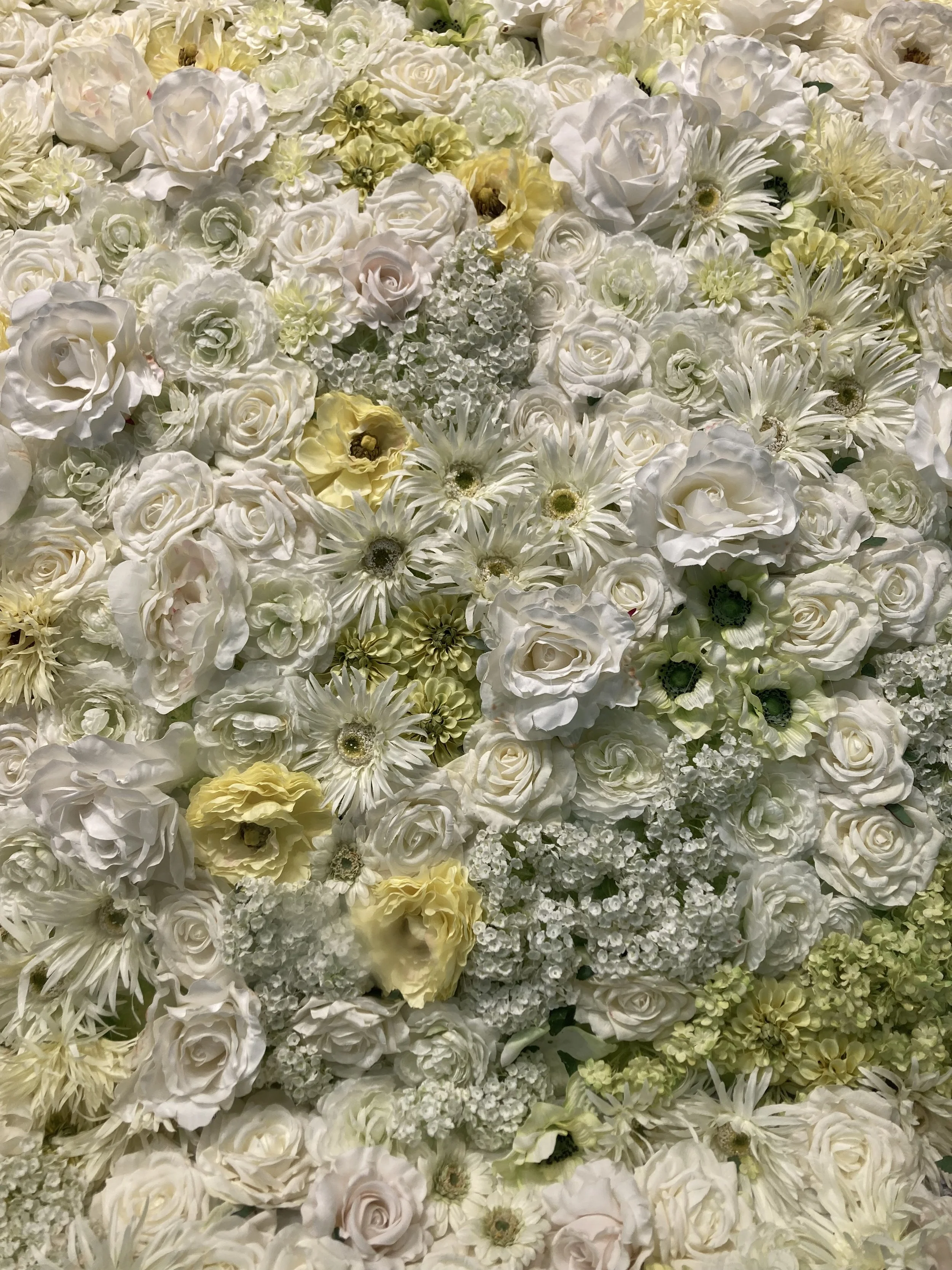 Accompagnement bien-être, naturopathie, gestion du stress, alimentation, sommeil, préménopause, périménopause, femme, théorie polyvagale, huiles essentielles, aromathérapie, olfactothérapie, santé naturelle, Morvan, Bourgogne