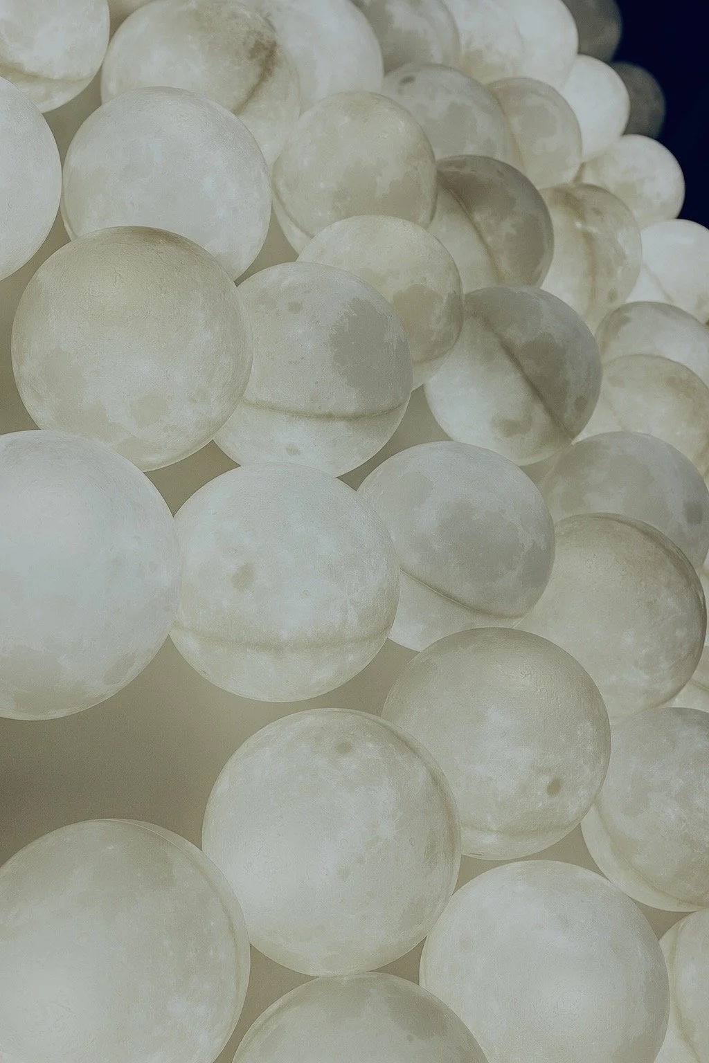 Accompagnement bien-être, naturopathie, gestion du stress, alimentation, sommeil, préménopause, périménopause, femme, théorie polyvagale, huiles essentielles, aromathérapie, olfactothérapie, santé naturelle, Morvan, Bourgogne