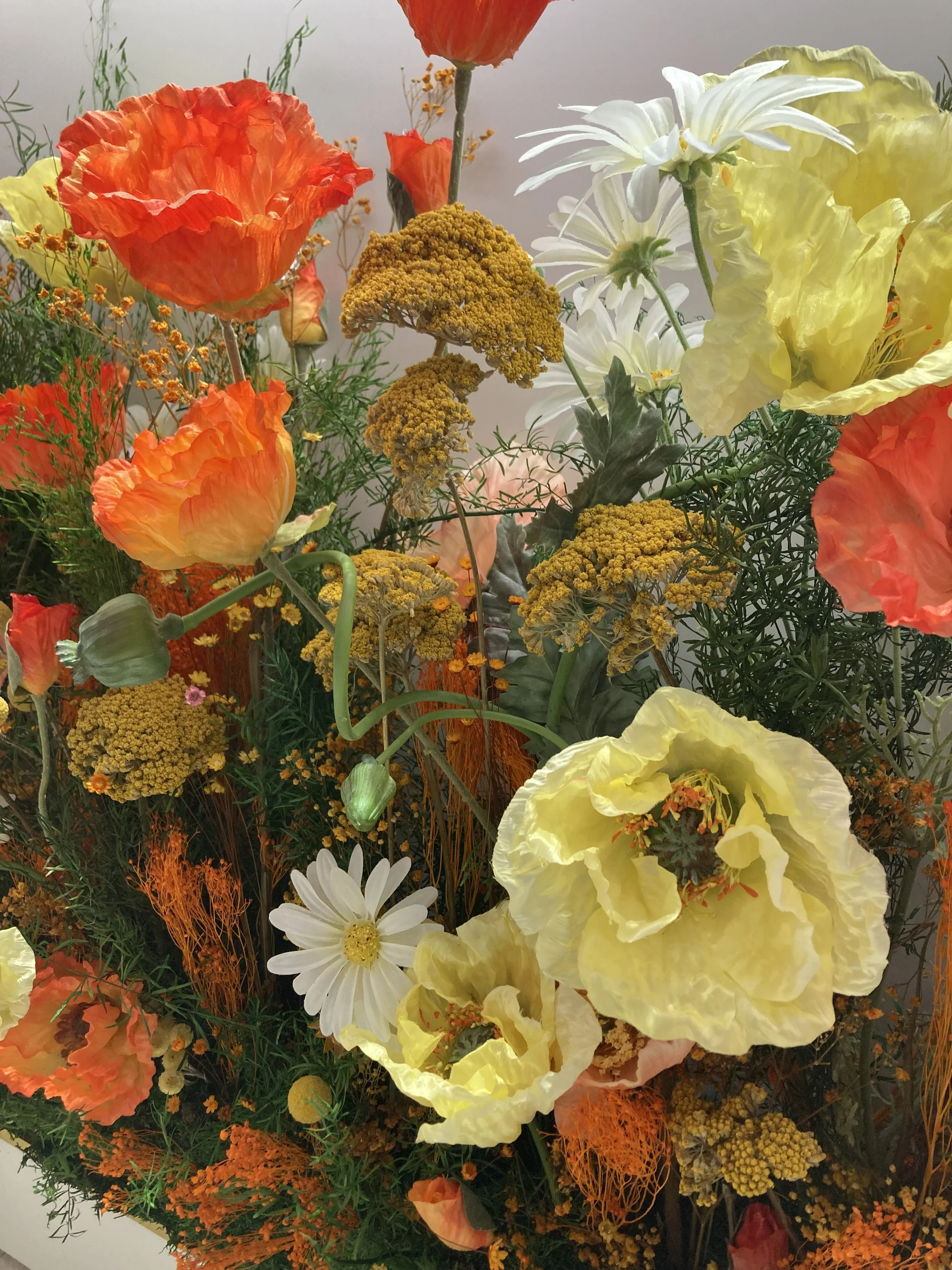 Accompagnement bien-être, naturopathie, gestion du stress, alimentation, sommeil, préménopause, périménopause, femme, théorie polyvagale, huiles essentielles, aromathérapie, olfactothérapie, santé naturelle, Morvan, Bourgogne