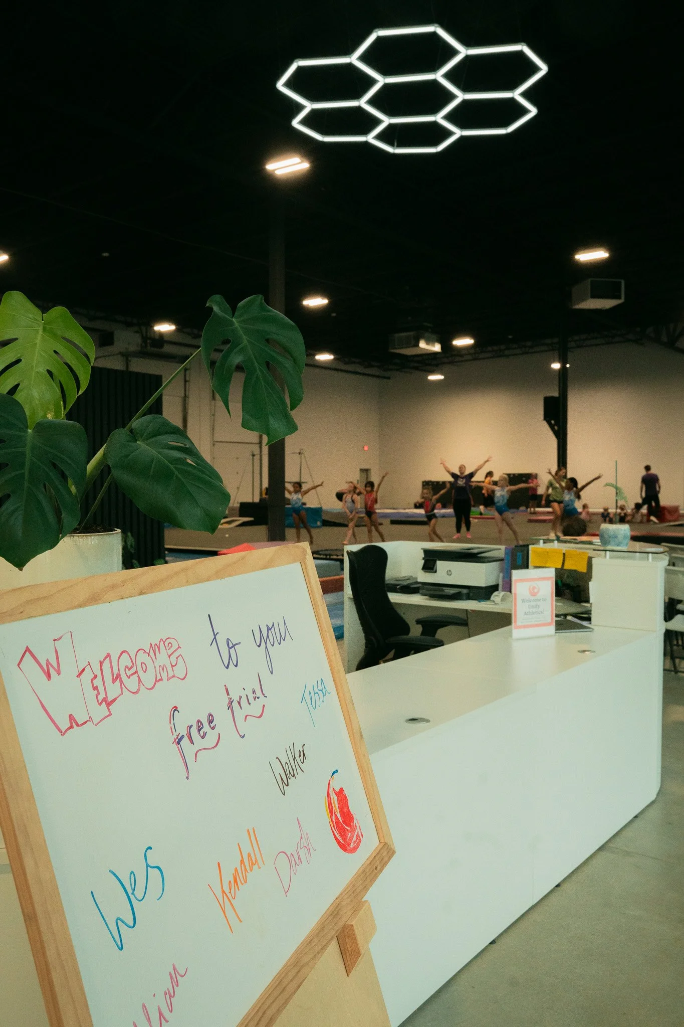 Dance studio with people practicing, a reception desk, sign-in board, and a plant in the foreground.