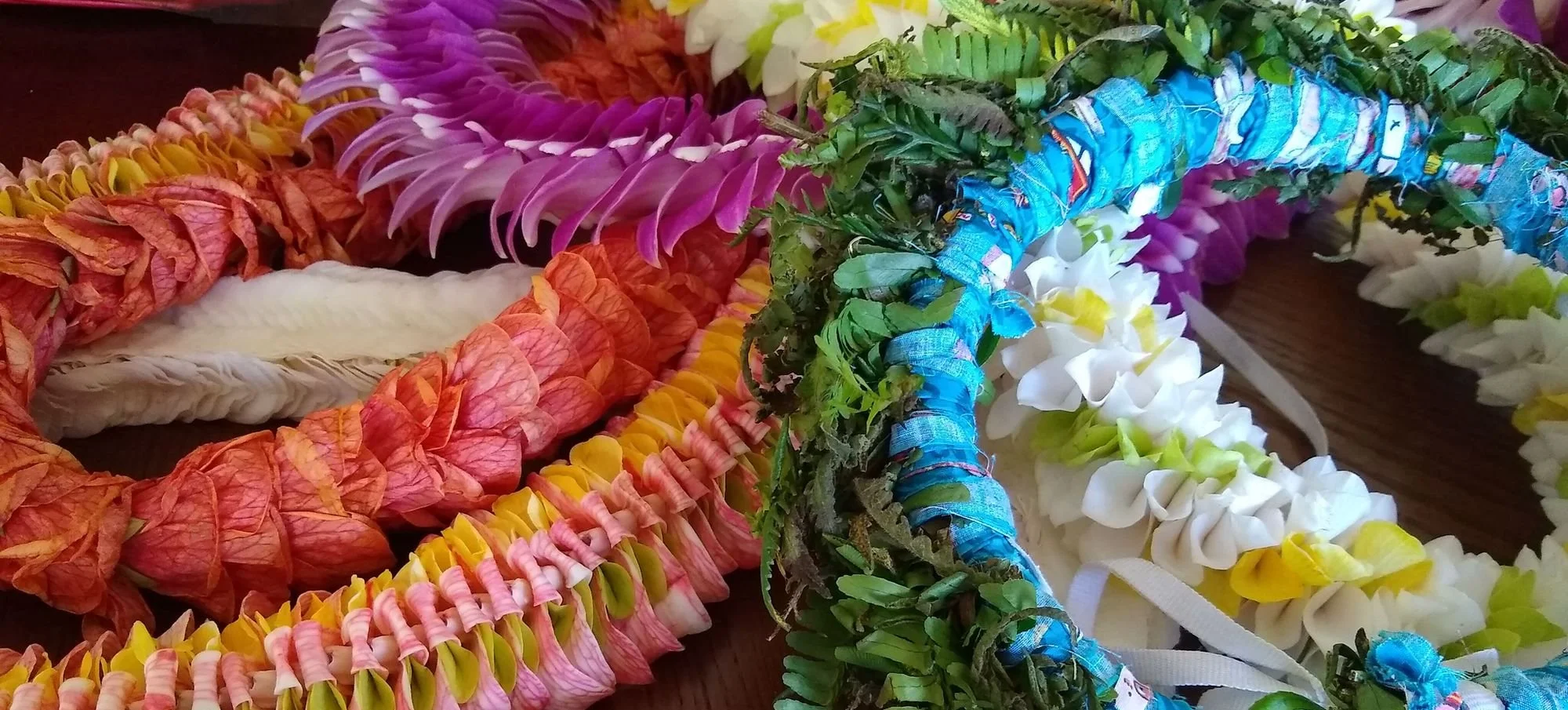 Worship-Leis.jpg