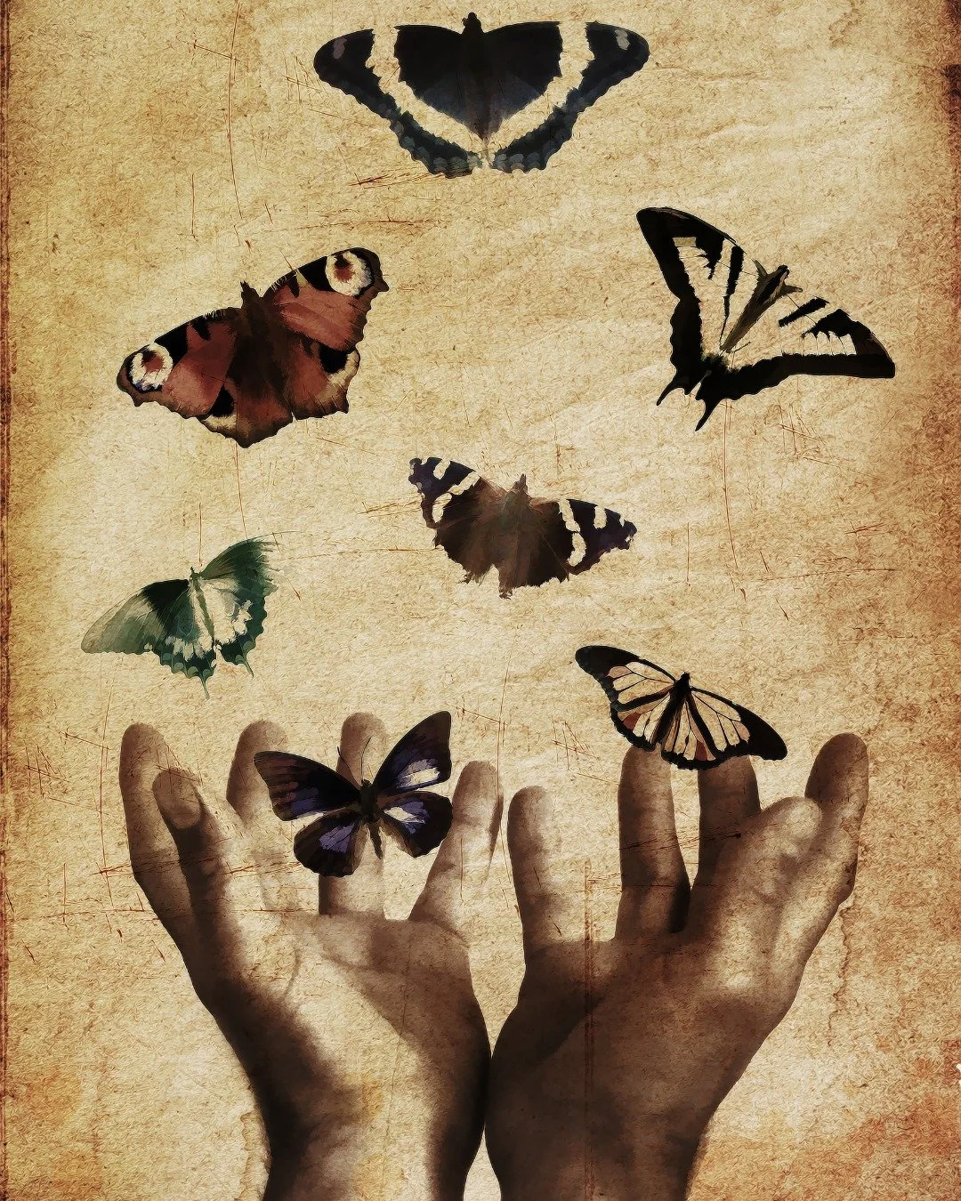 Lo que no estas cambiando, estas escogiendo 🦋

#vidalenta #metamorfosis #suavidad #divinofemenino #crecimiento