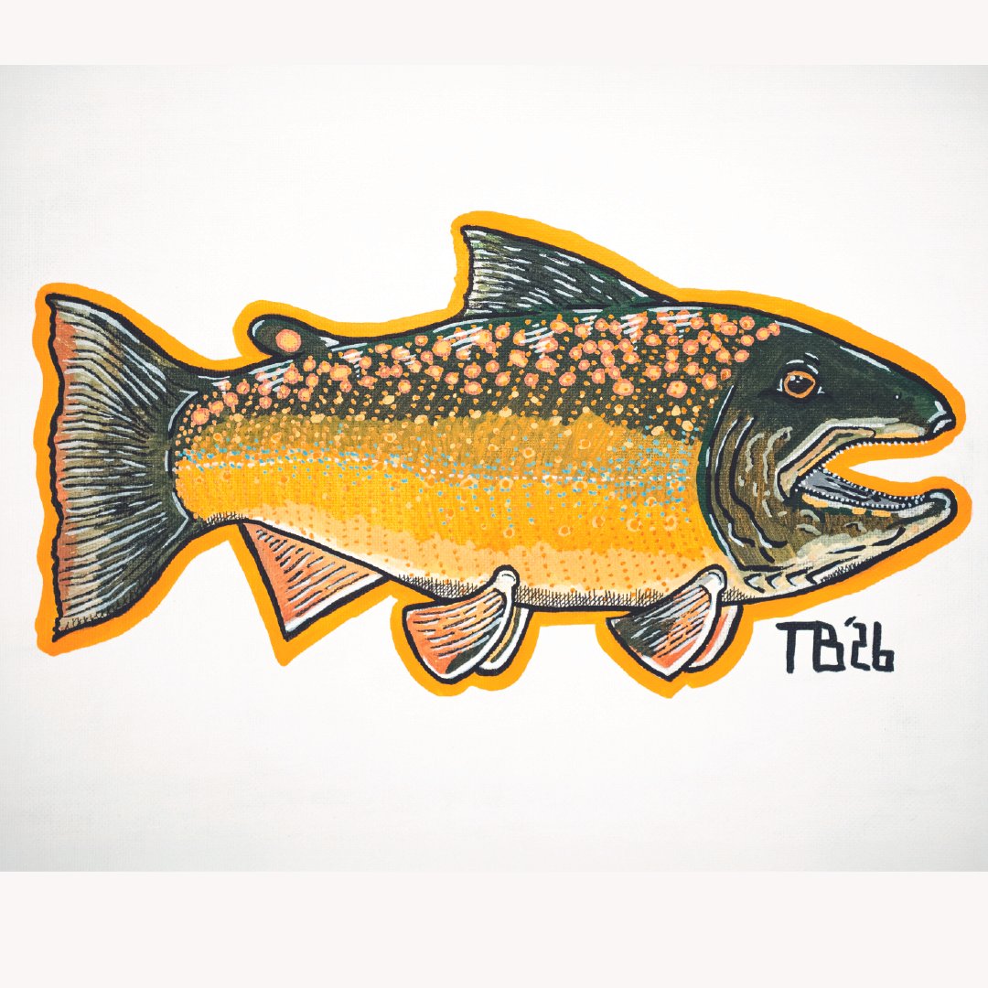 Outliners - Backcountry Bull Trout Giclee Print