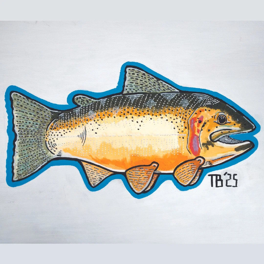 Outliners - Blackfoot Westslope Cutthroat Trout - Giclee Print