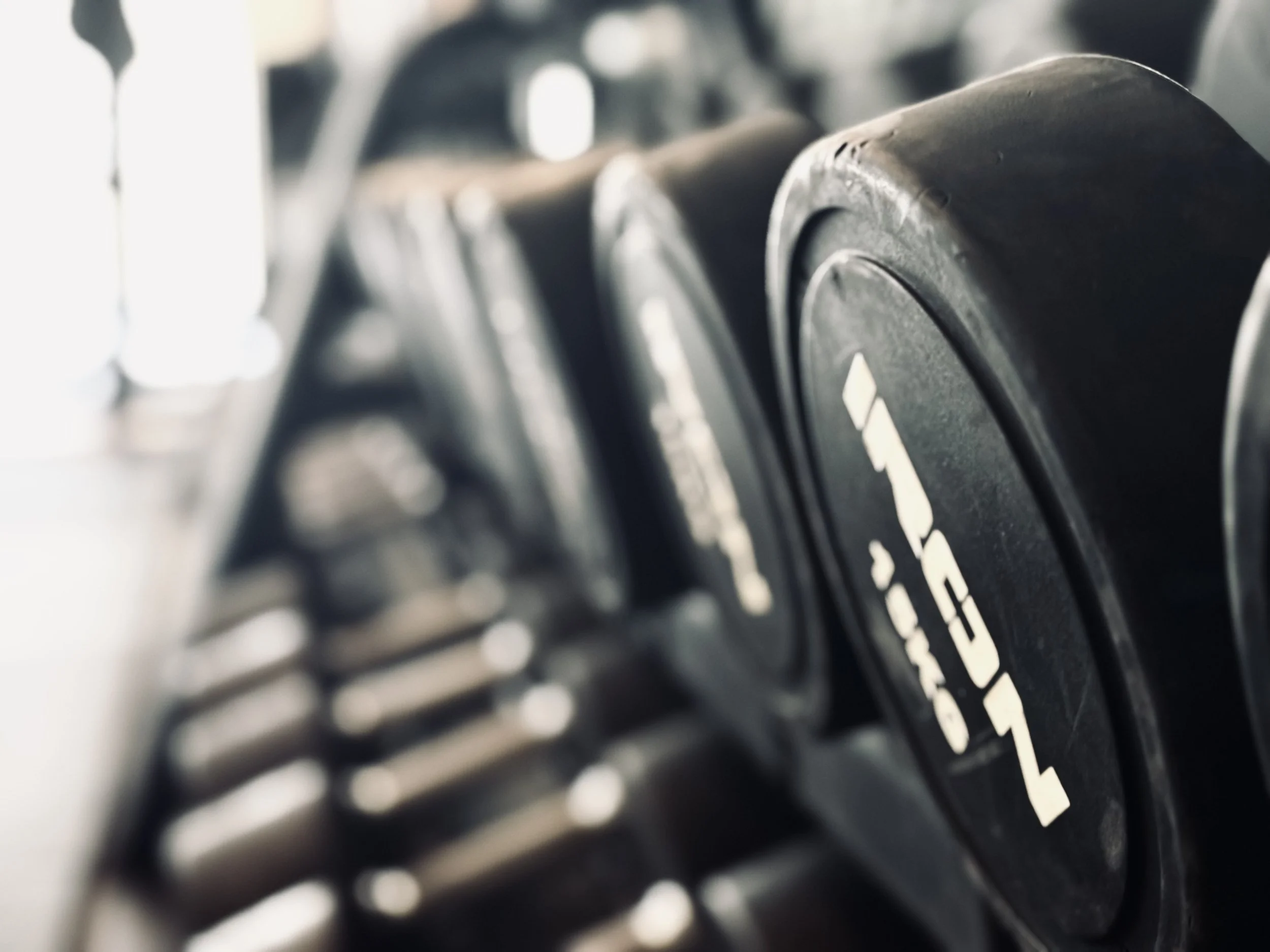 Dumbbells lined up on a rack