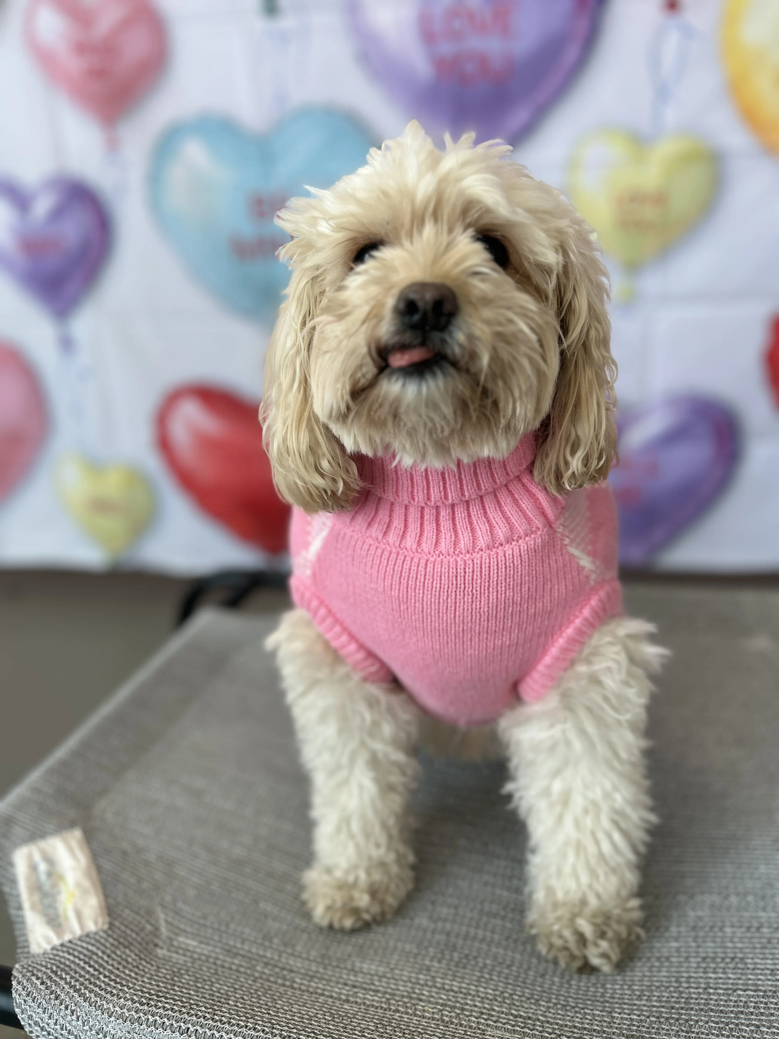 Valentine's Party