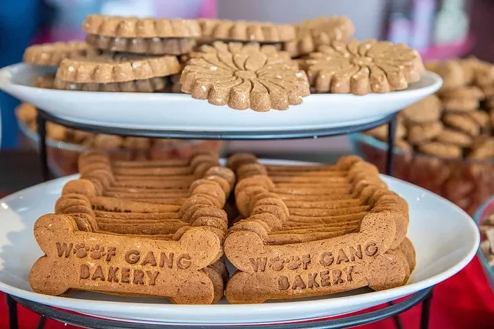 National Dog Biscuit Day