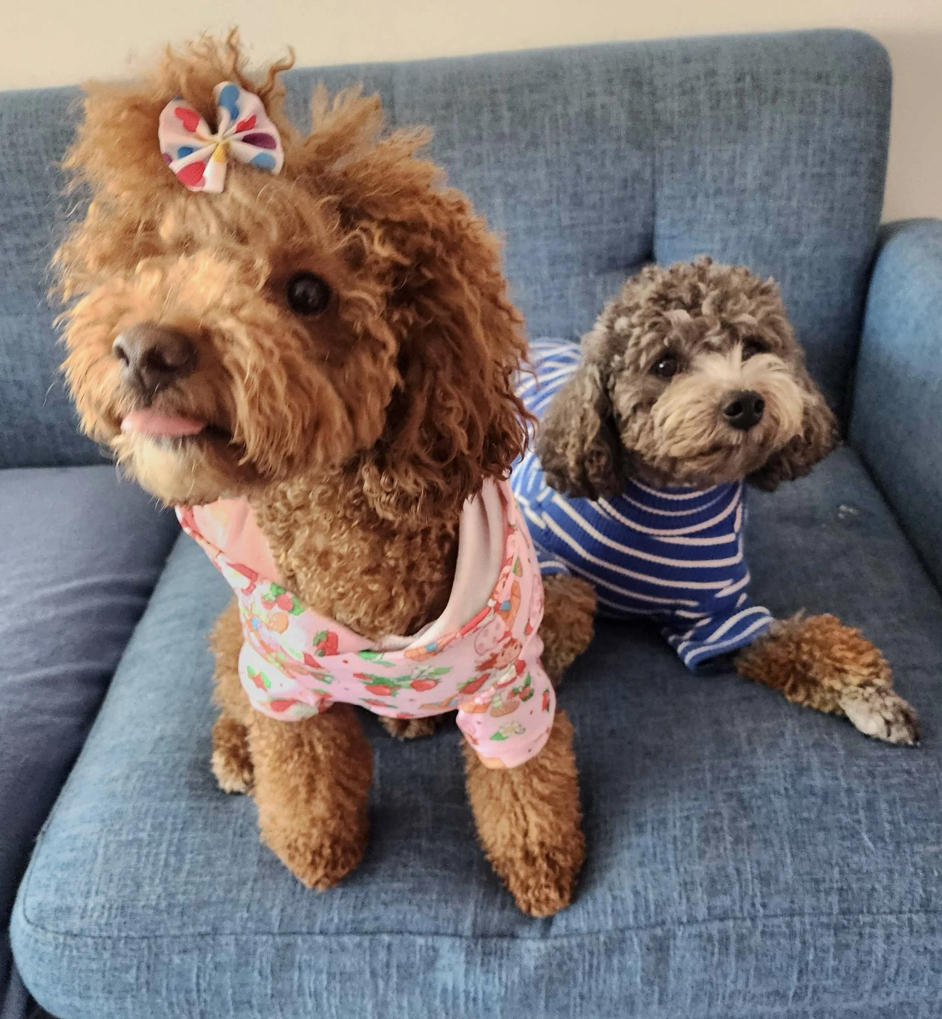 Small &amp; Mighty Social Meet up
