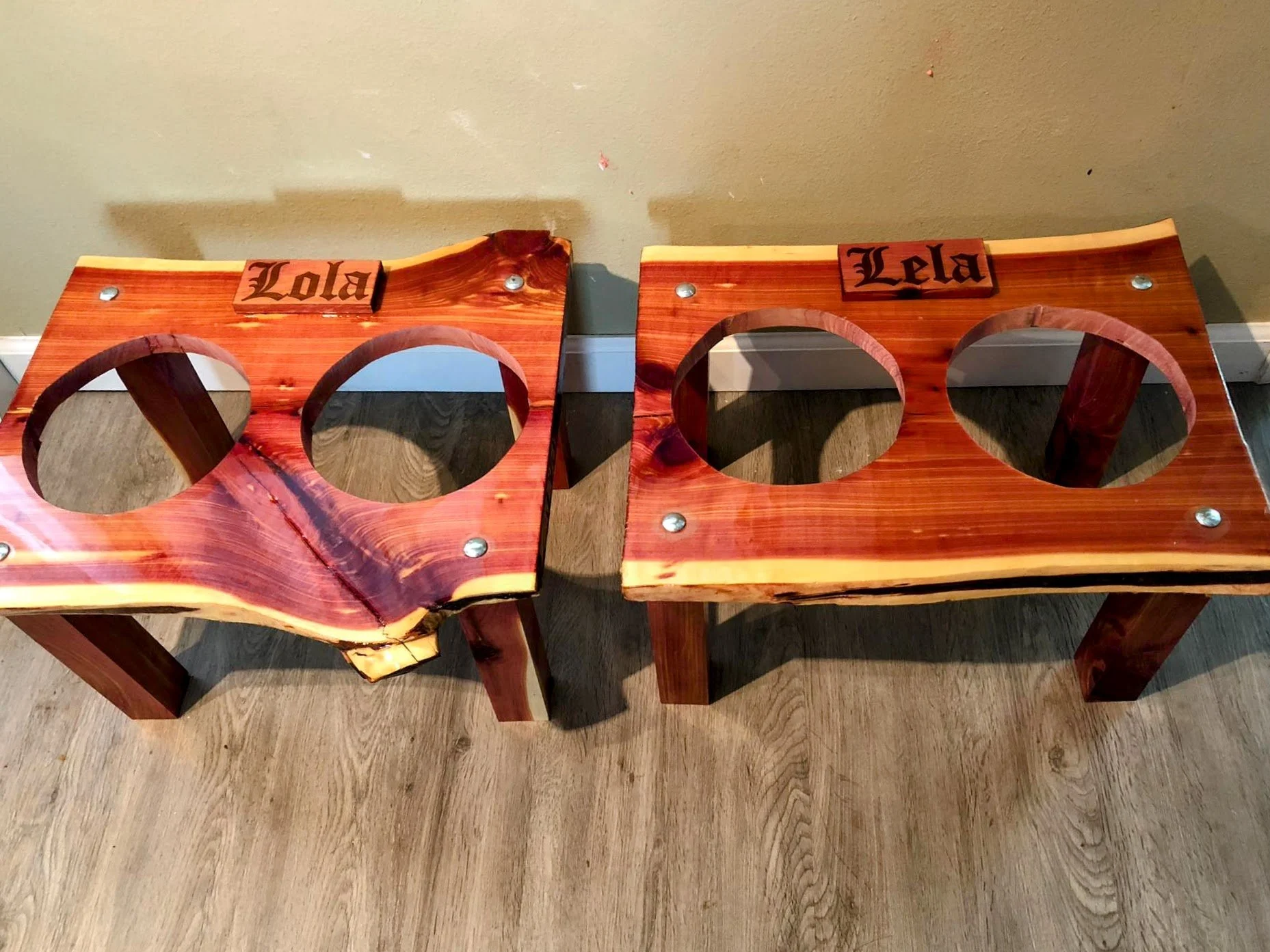 Dog food and water-EDIT.jpg